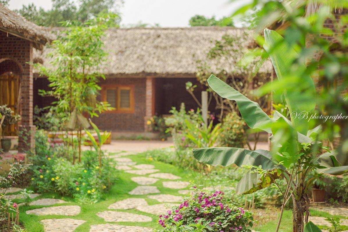 Ninh Binh Palm Homestay
