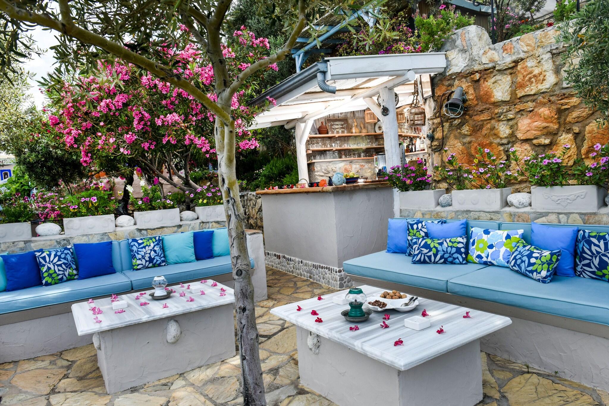 white Dolphin by null