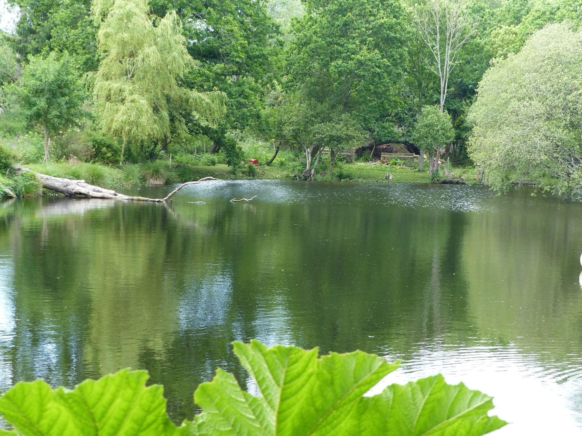 Auberge De Bel Air by null