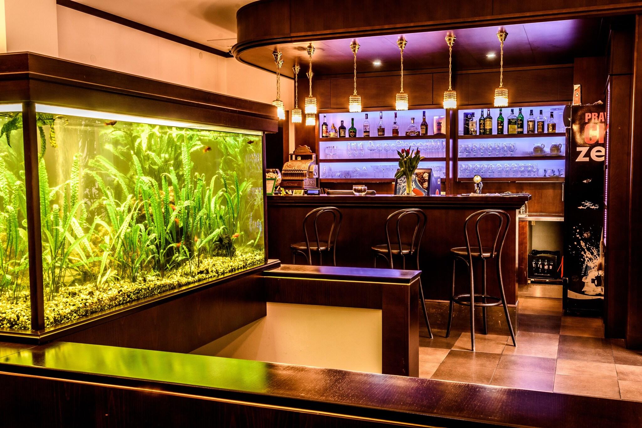 Eco Friendly Hotel Dália by null