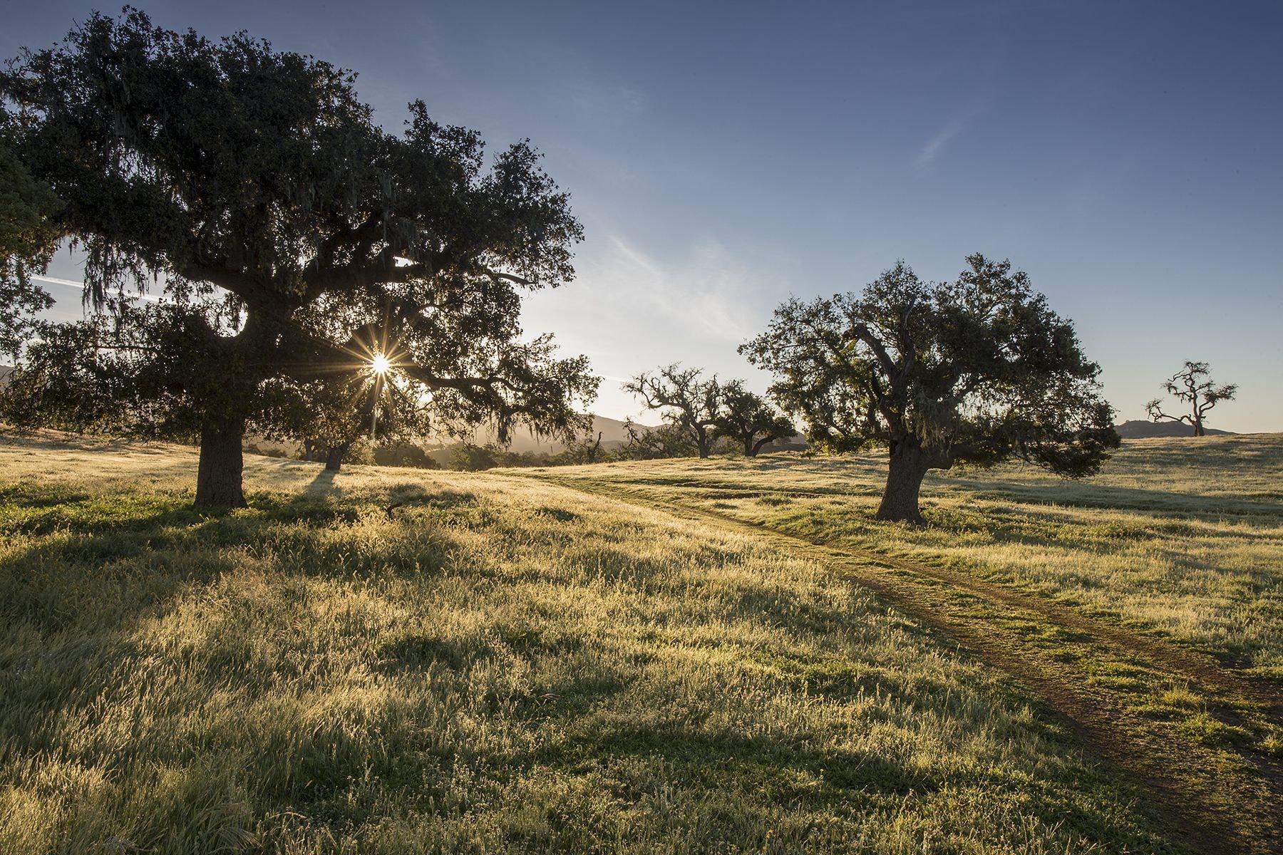 Fess Parker Wine Country Inn by null