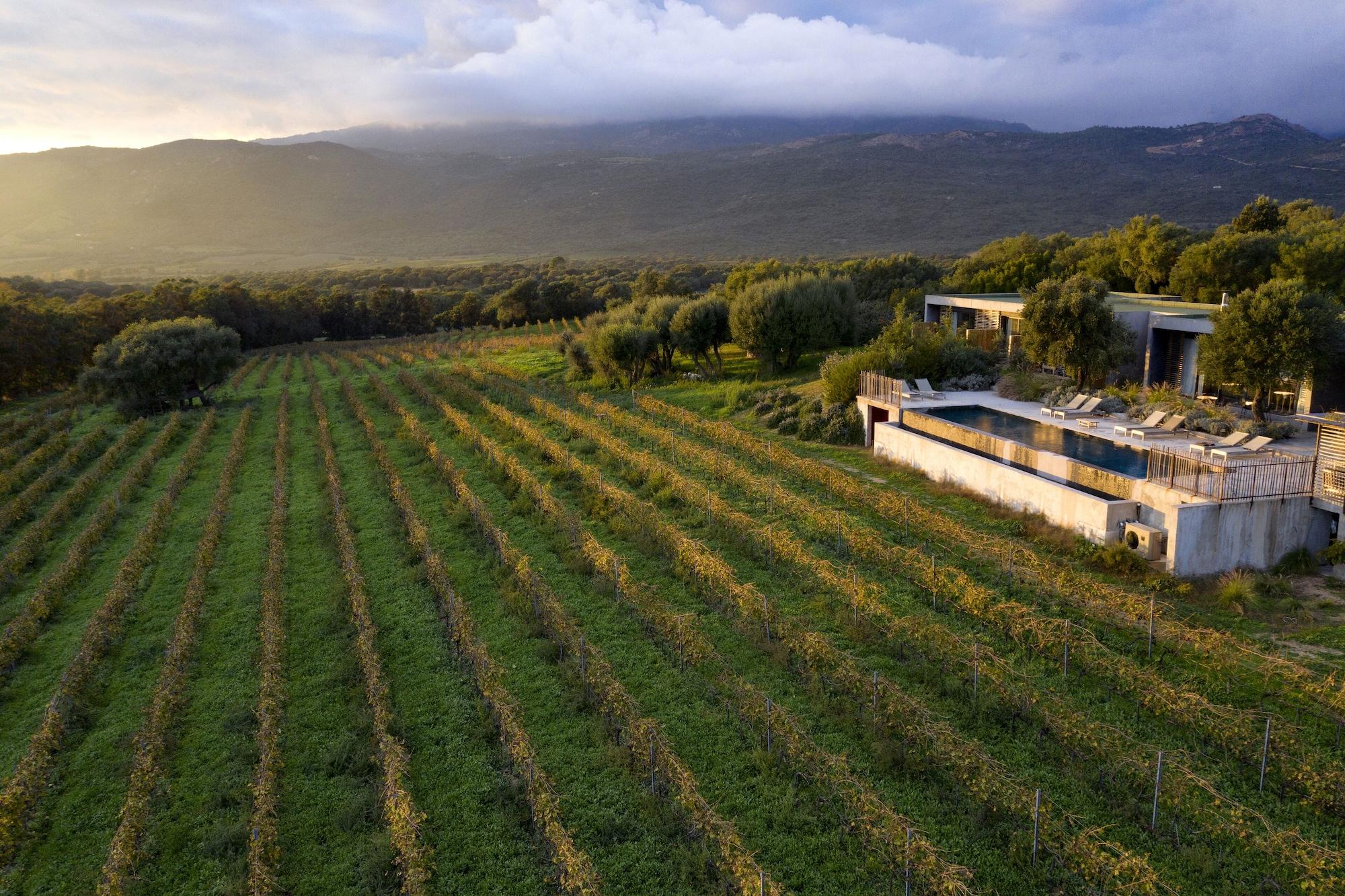 Domaine De Peretti Della Rocca