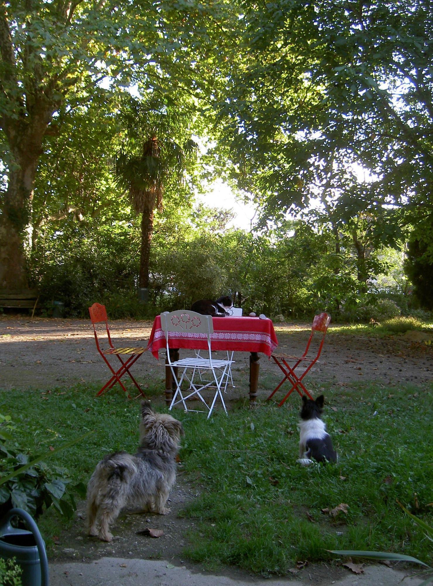 Le Moulin Des Marionnettes