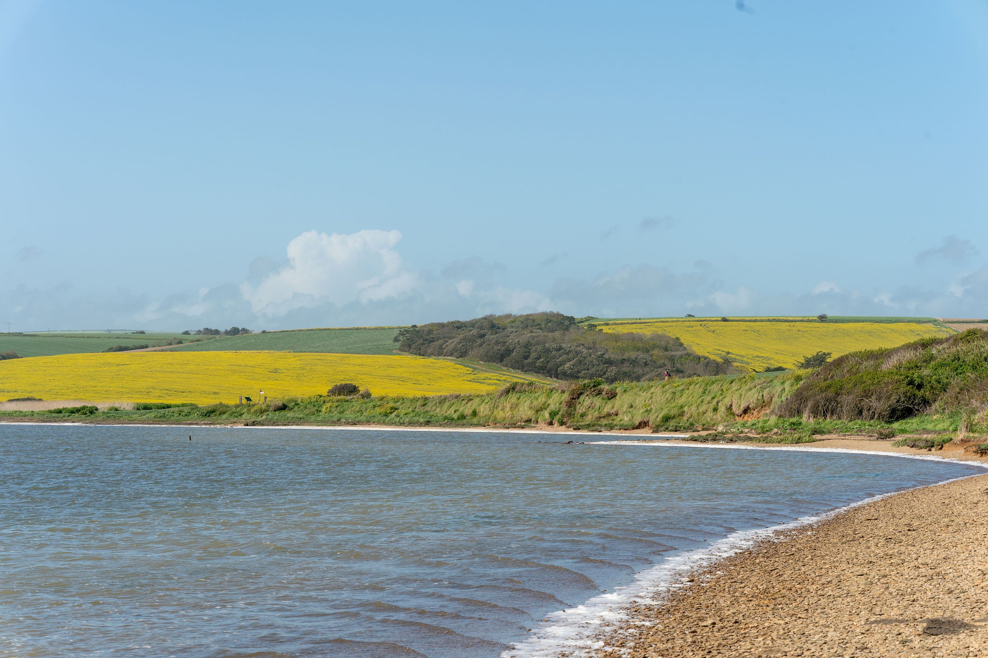 Moonfleet Manor by null