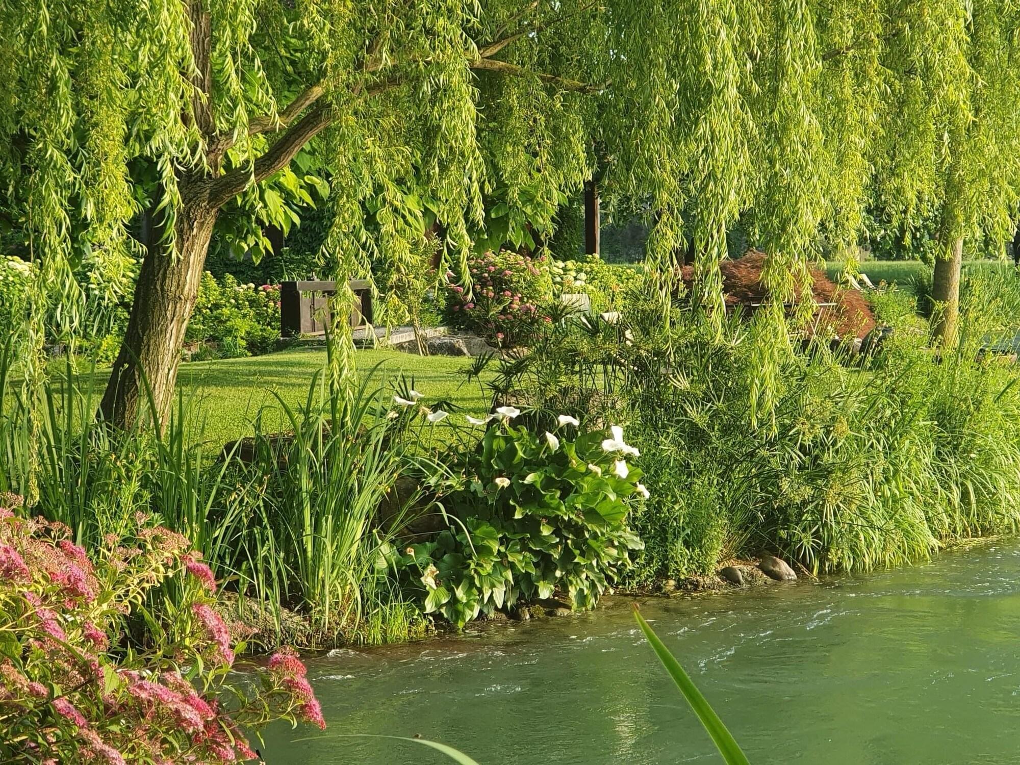 La Finestra sul Fiume by null