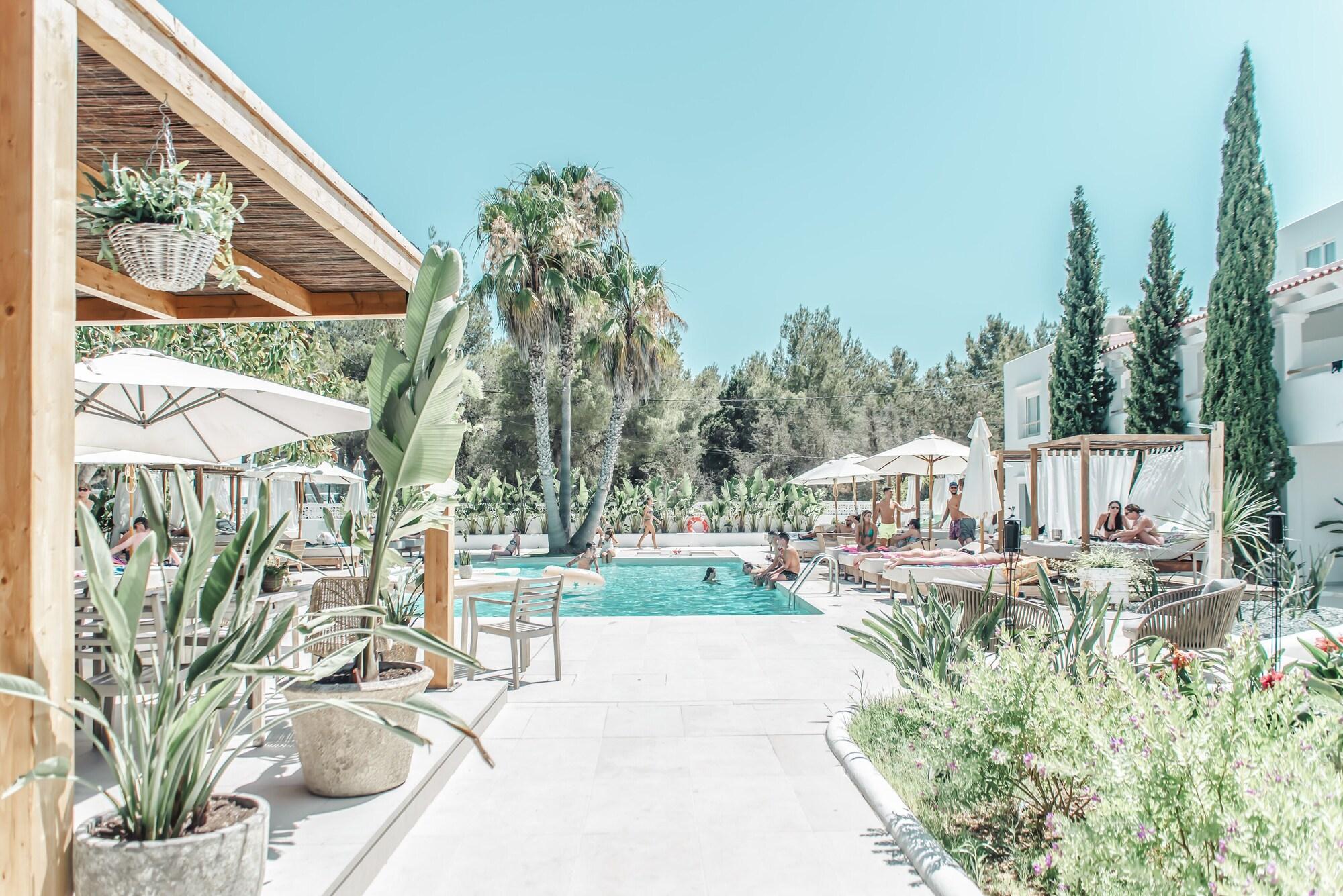 Hotel Boutique & Spa Las Mimosas by null