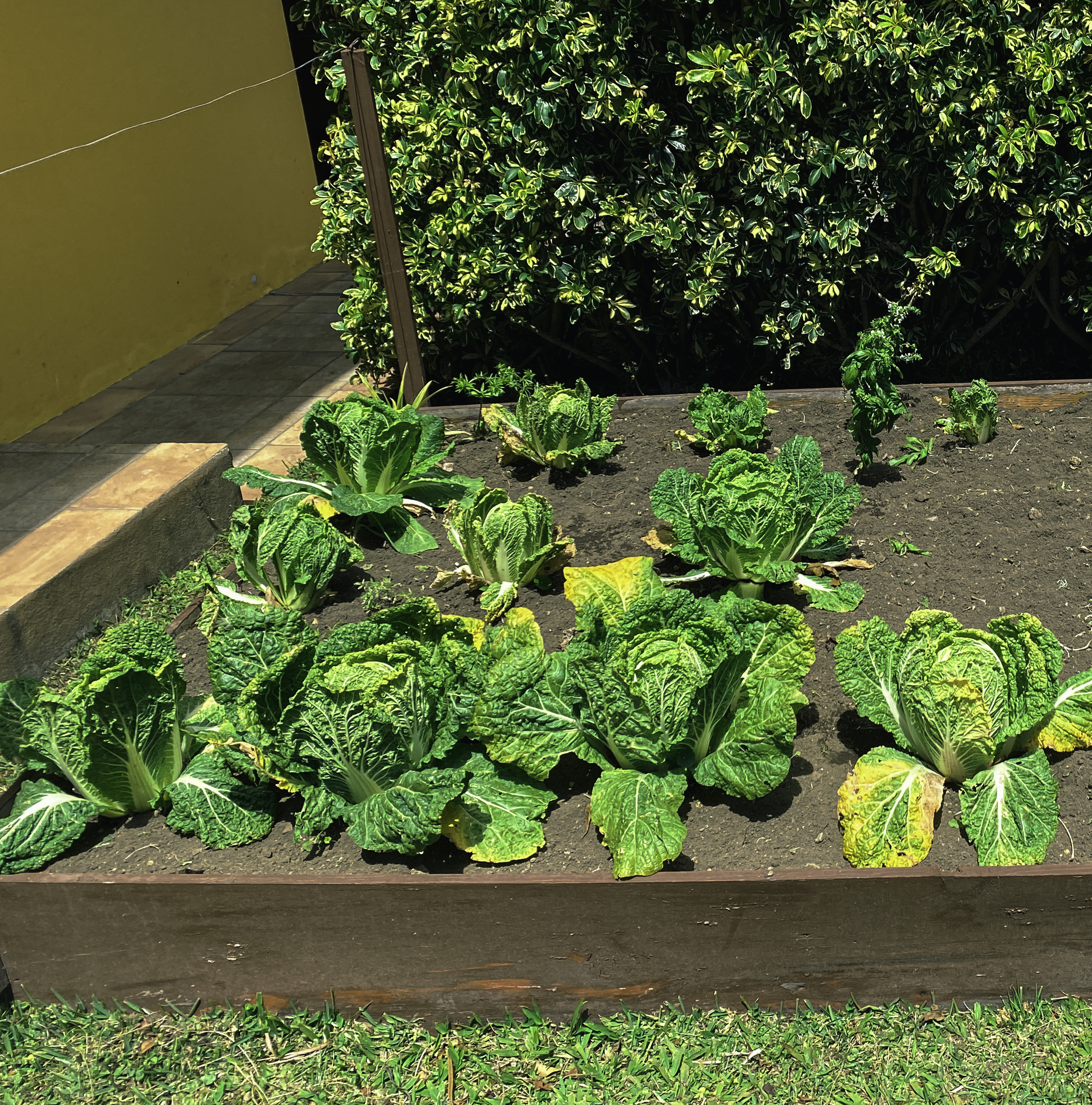 Los Establos Panama by null