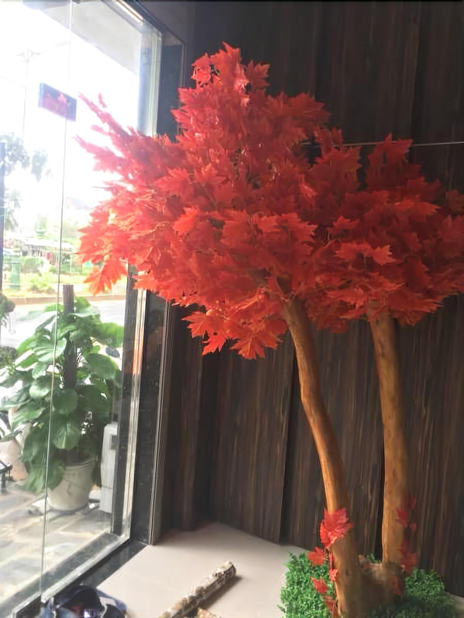 Phi Long Hotel - photo