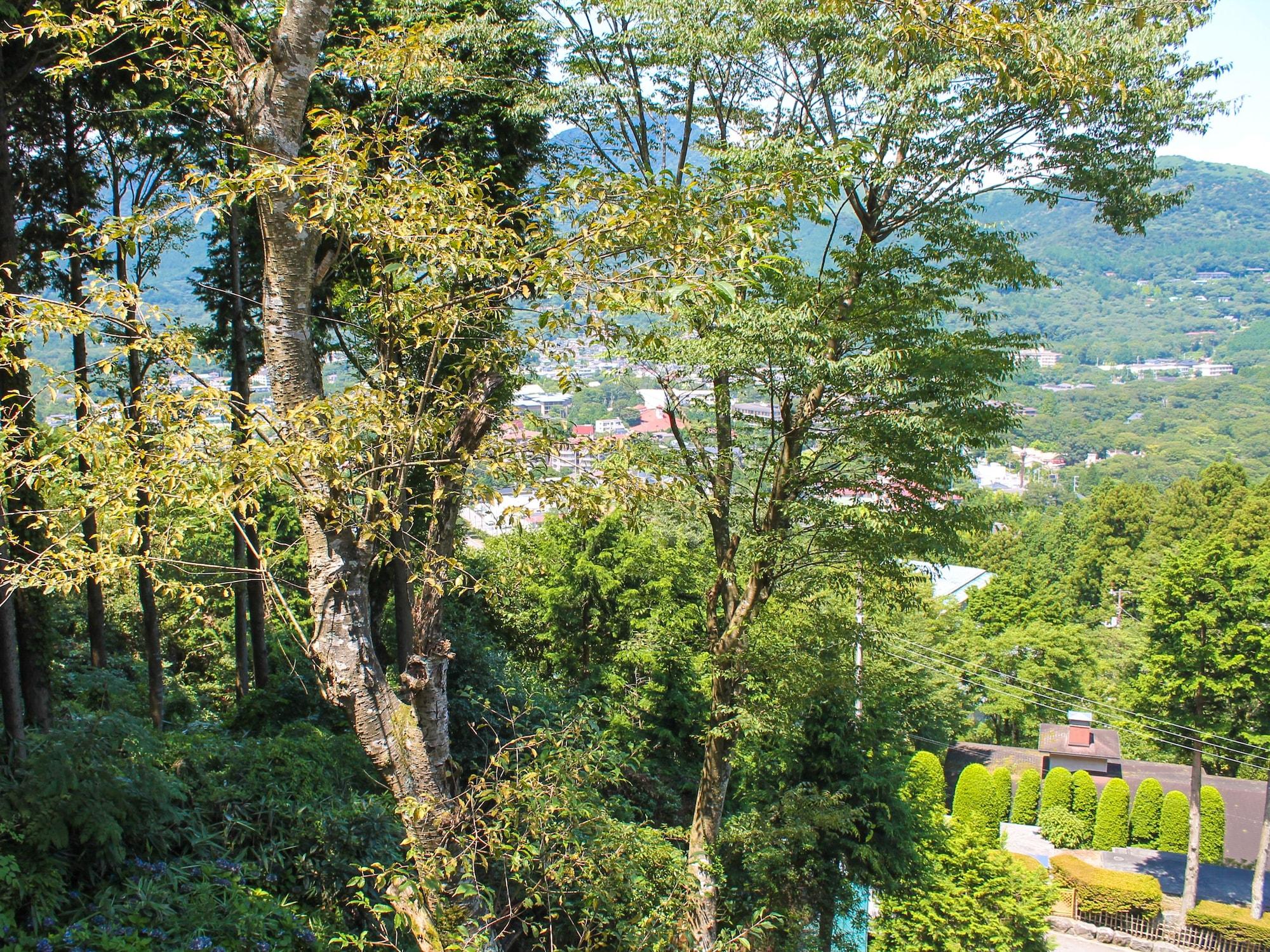Livemax Resort Hakone Sengokuhara