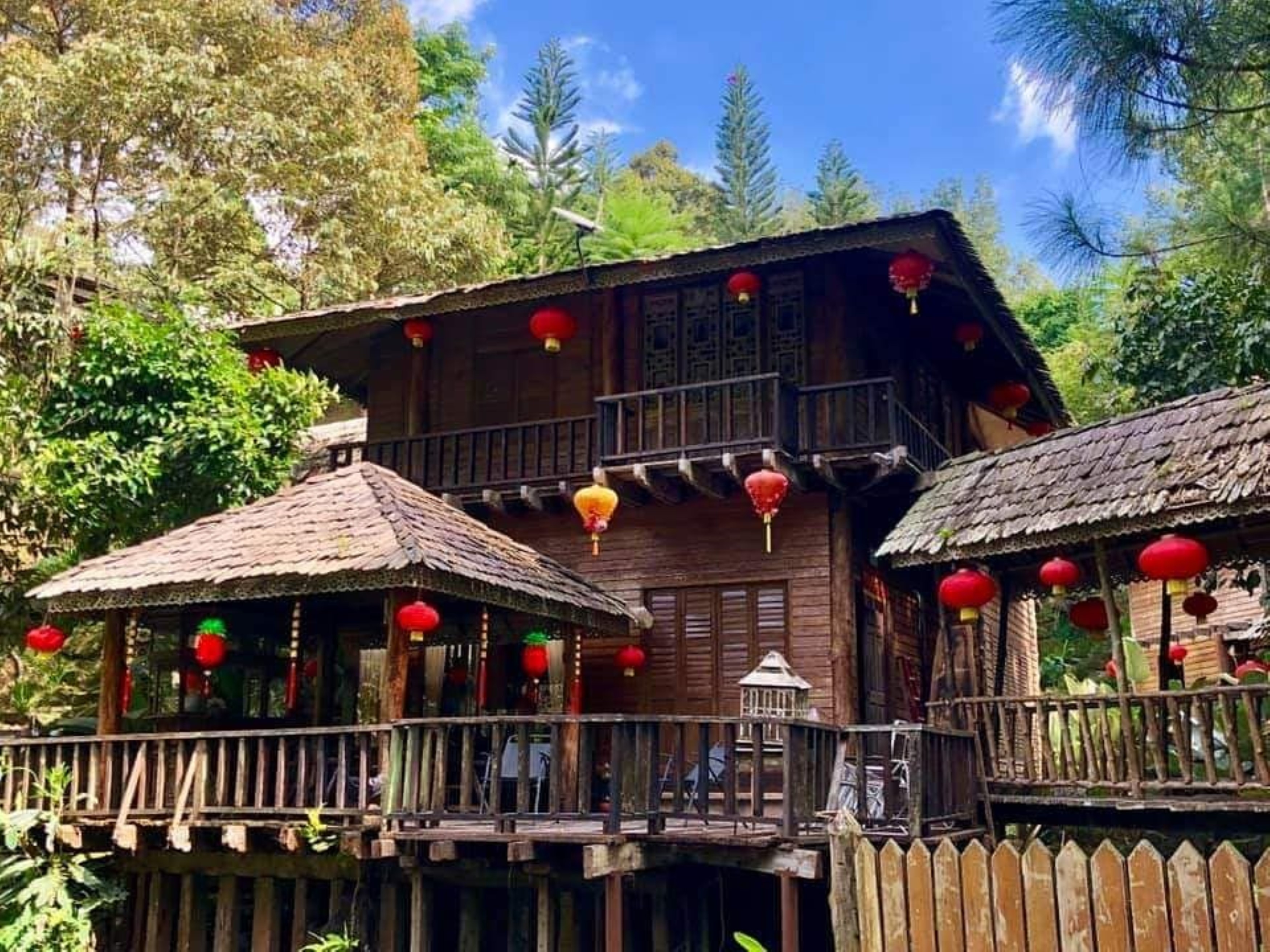 Fig Tree Hill Resort