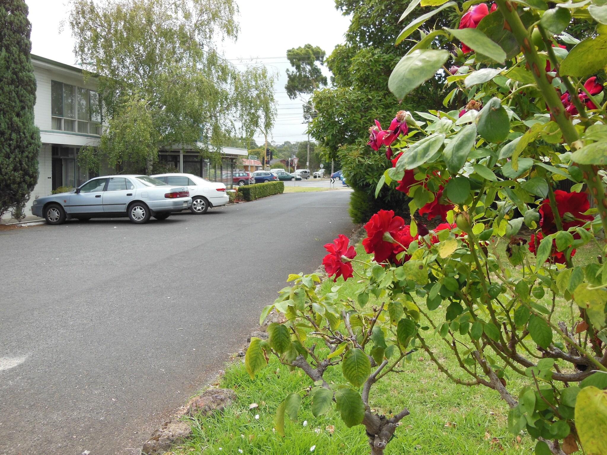 Ringwood Motel