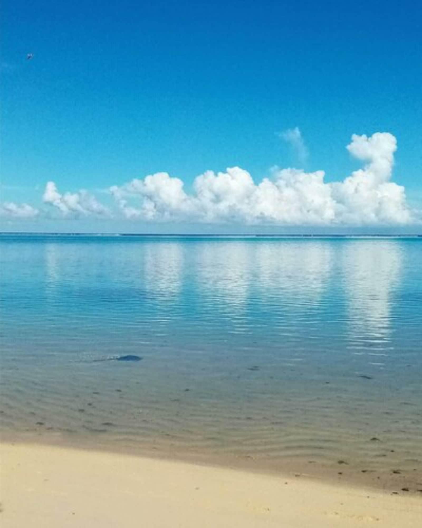 Moorea Beach Lodge by null