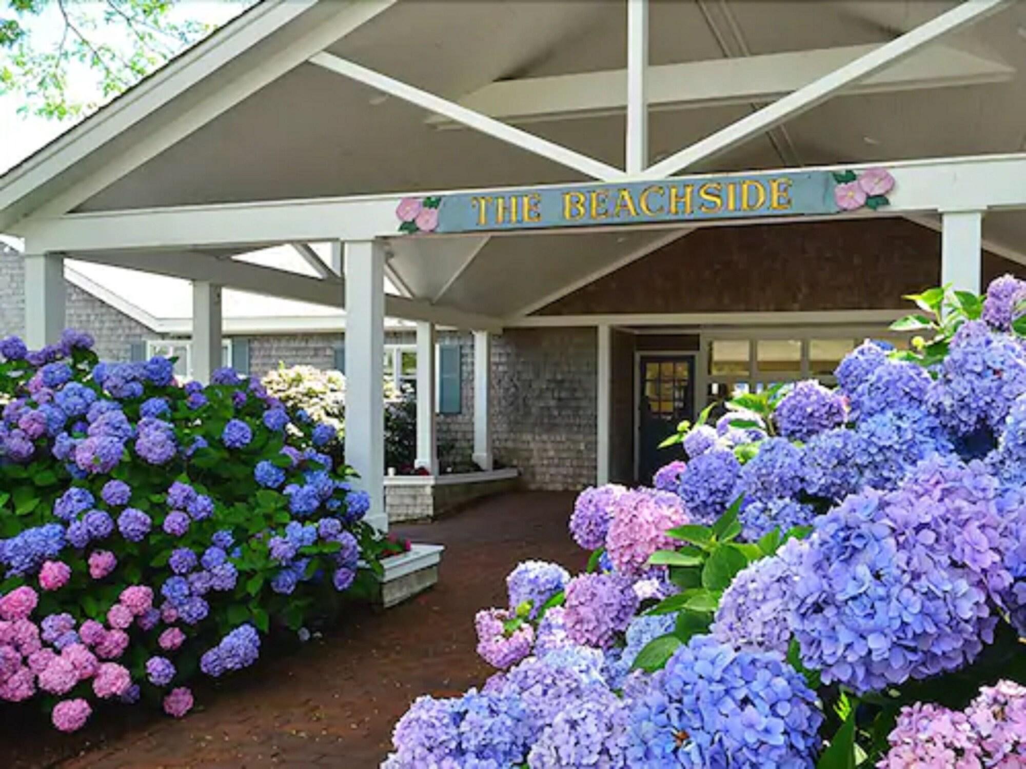 The Beachside Hotel by null