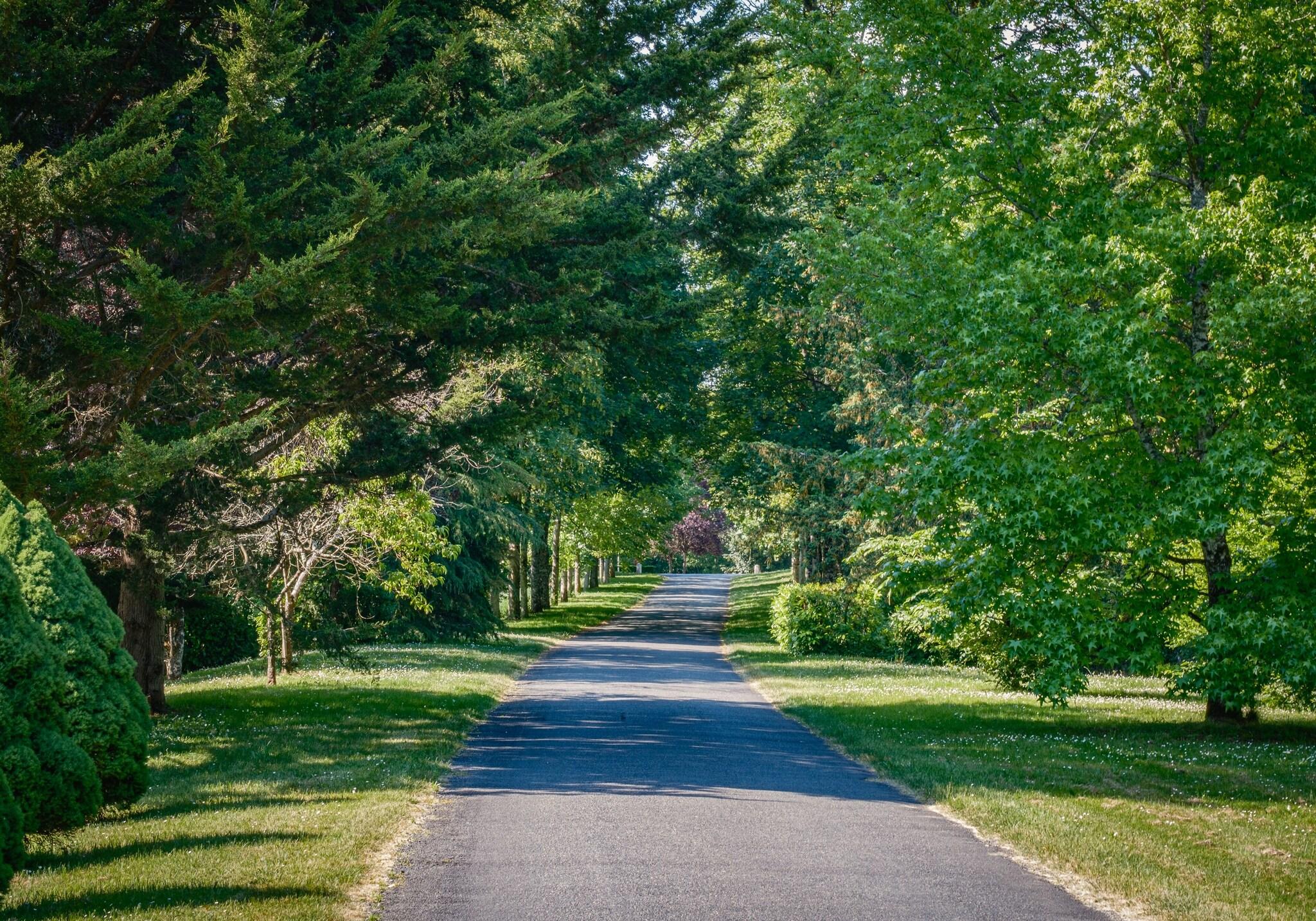 Château de Rochecotte by null