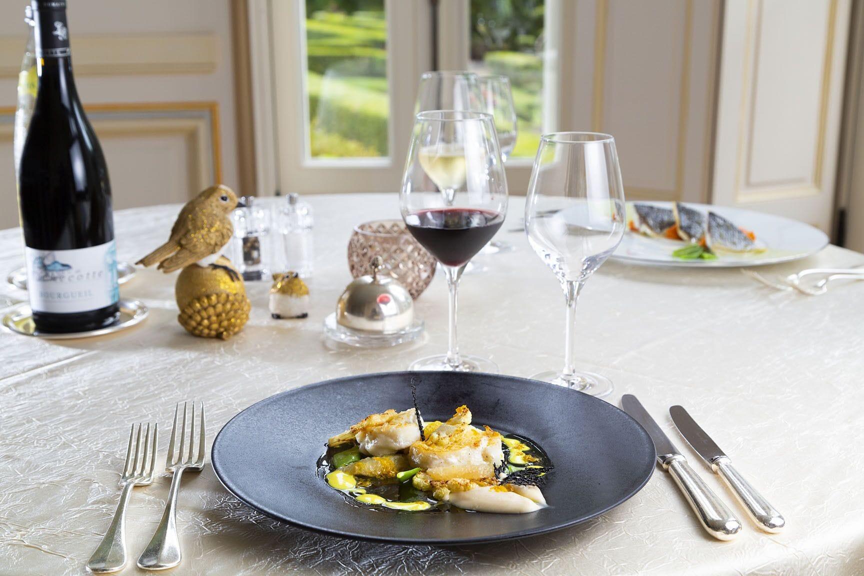 Château de Rochecotte by null