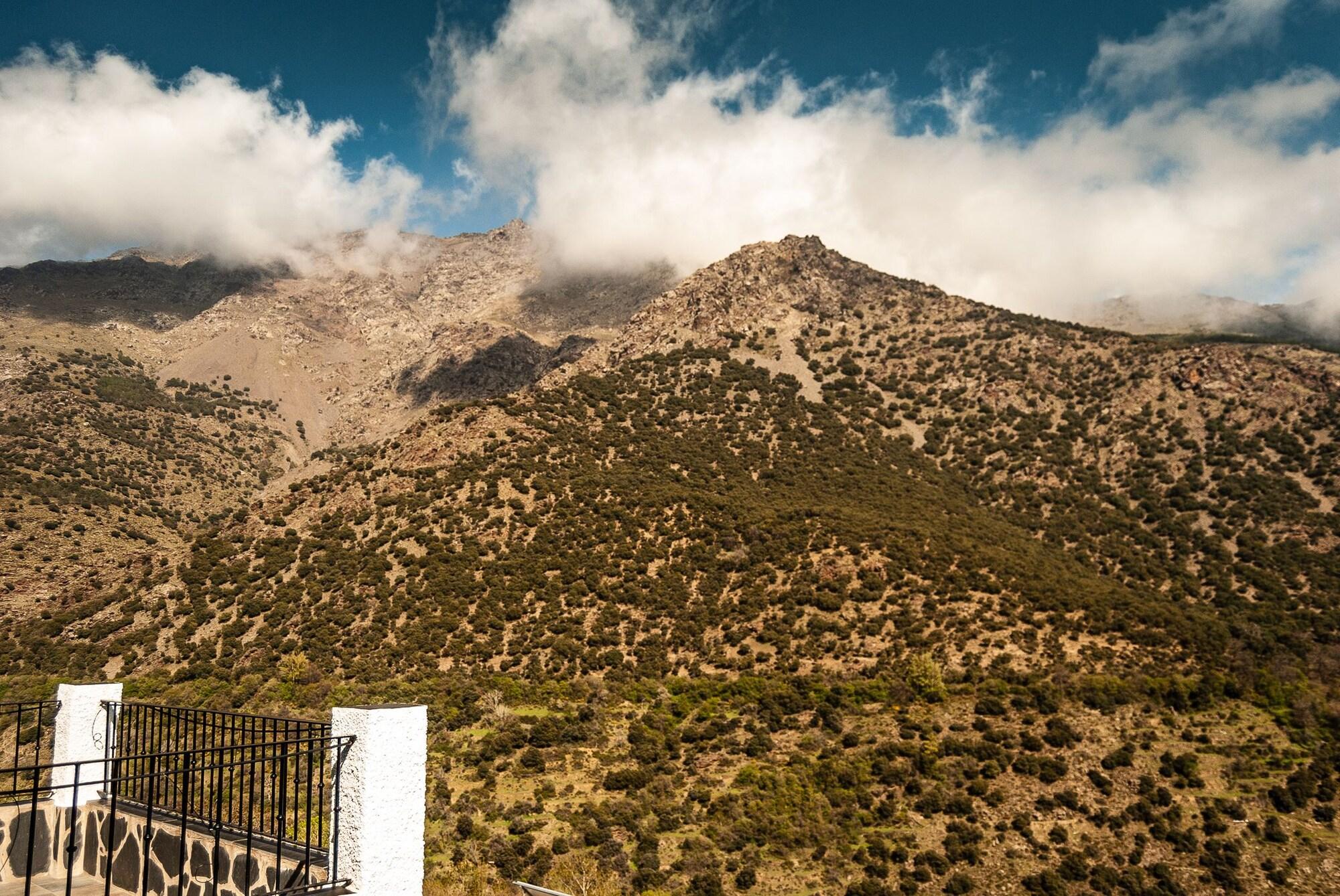 La Fragua II by null