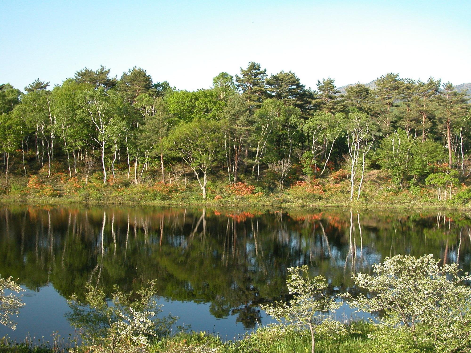 Hotel Shirakabaso Shigakogen by null