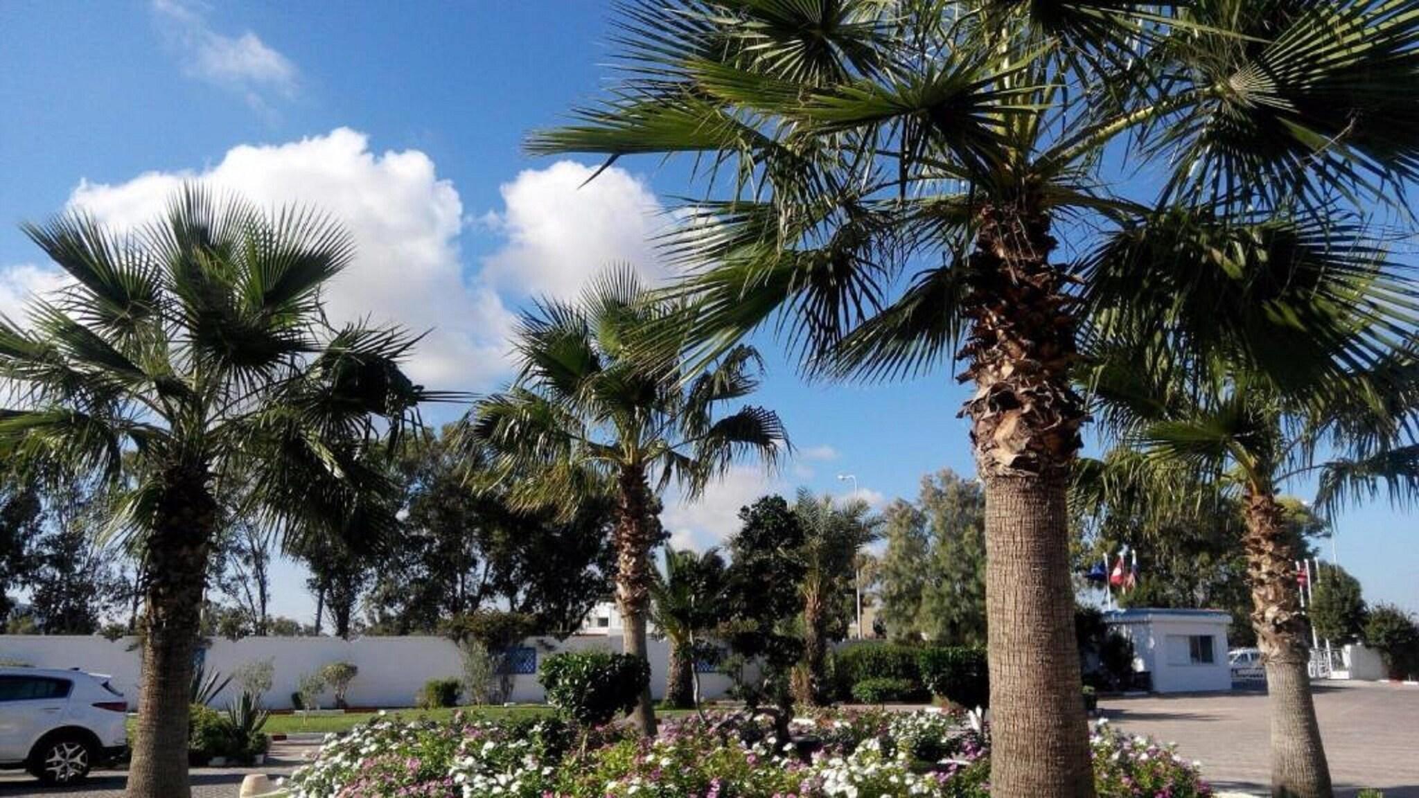 Palmyra Holiday Resort & Spa - Families and Couple - фото