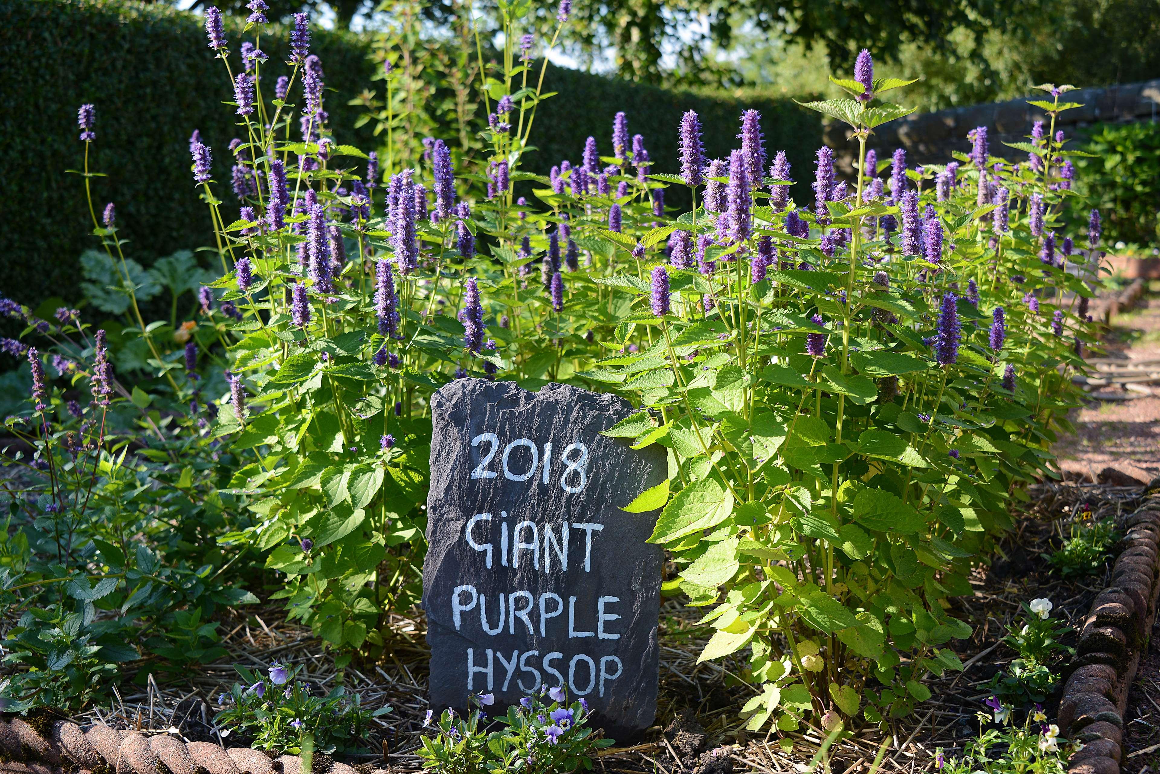 Northcote Hotel & Restaurant by null