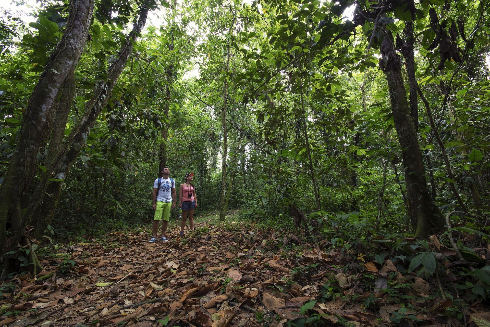 Rancho Cerro Azul by null