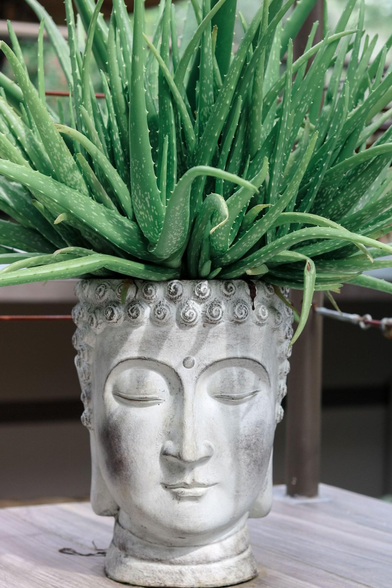 Tamarindo Bay Boutique Hotel by null