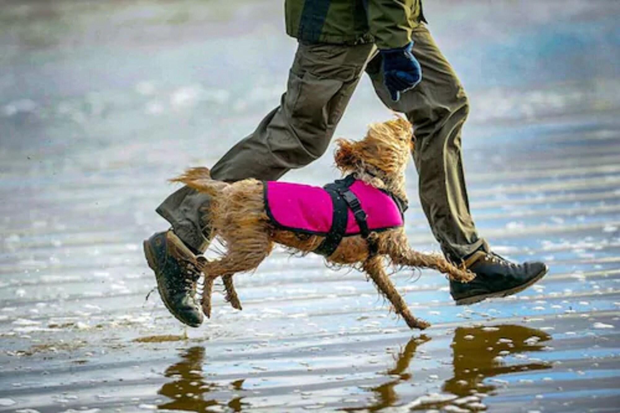 Bike & Boot Leisure Hotels - Scarborough by null