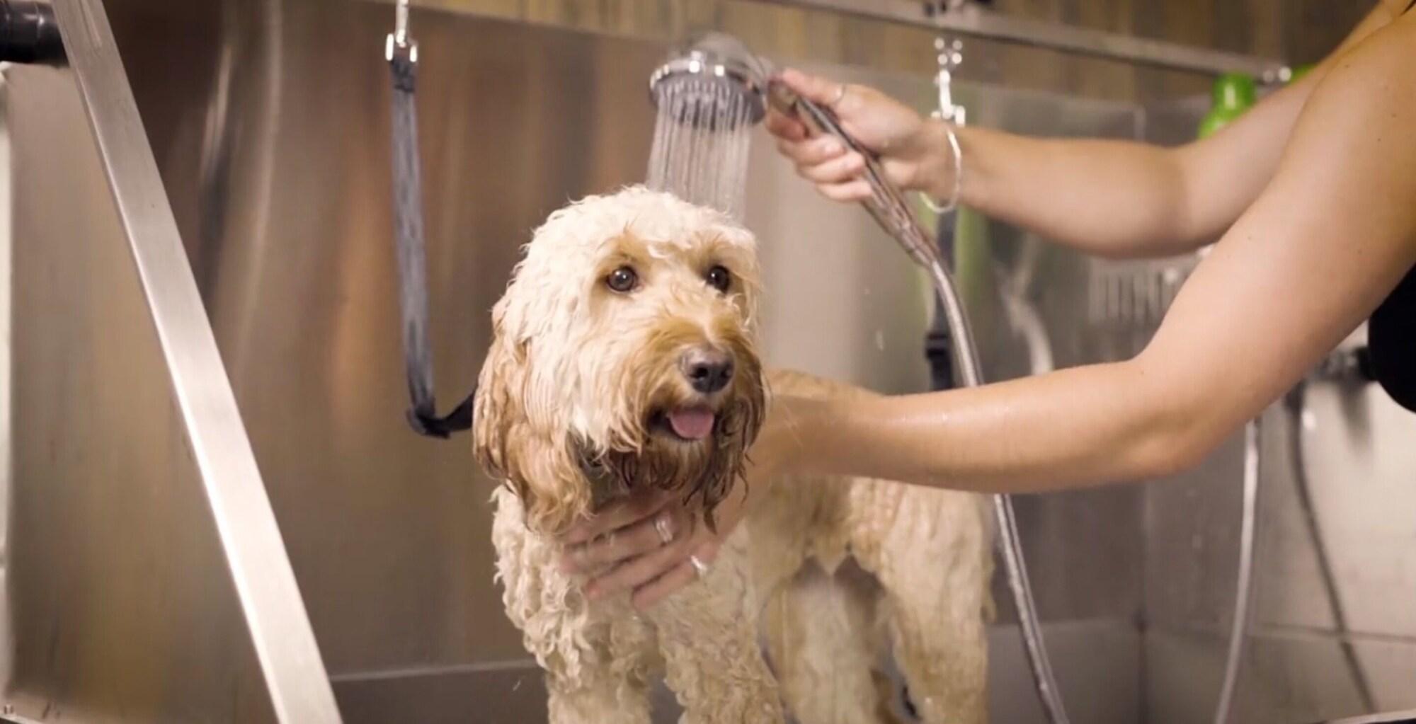 Bike & Boot Leisure Hotels - Scarborough by null