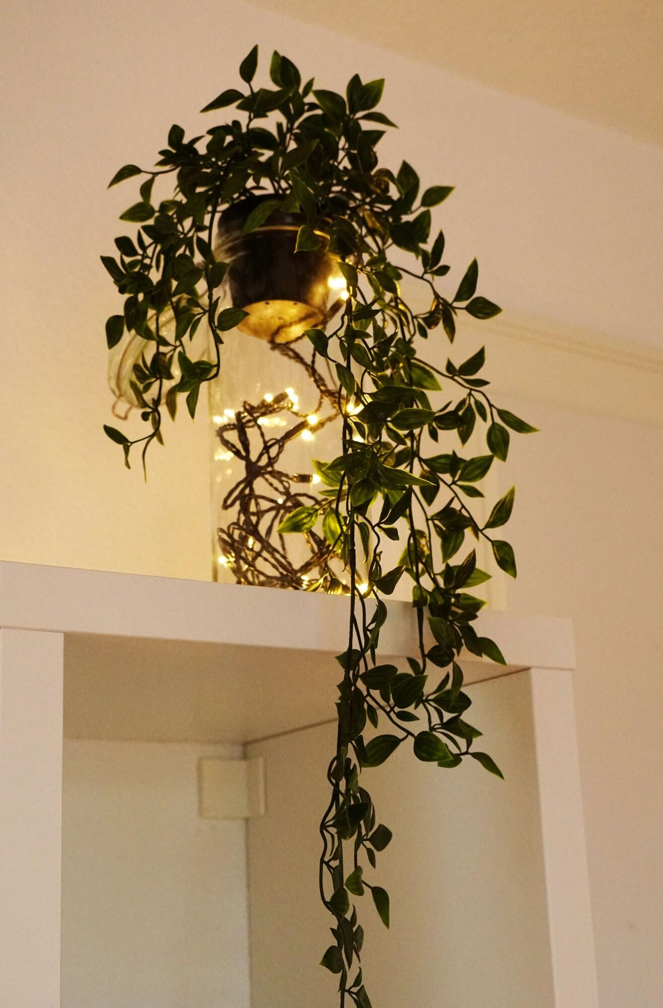 Adventure Guesthouse Interlaken by null