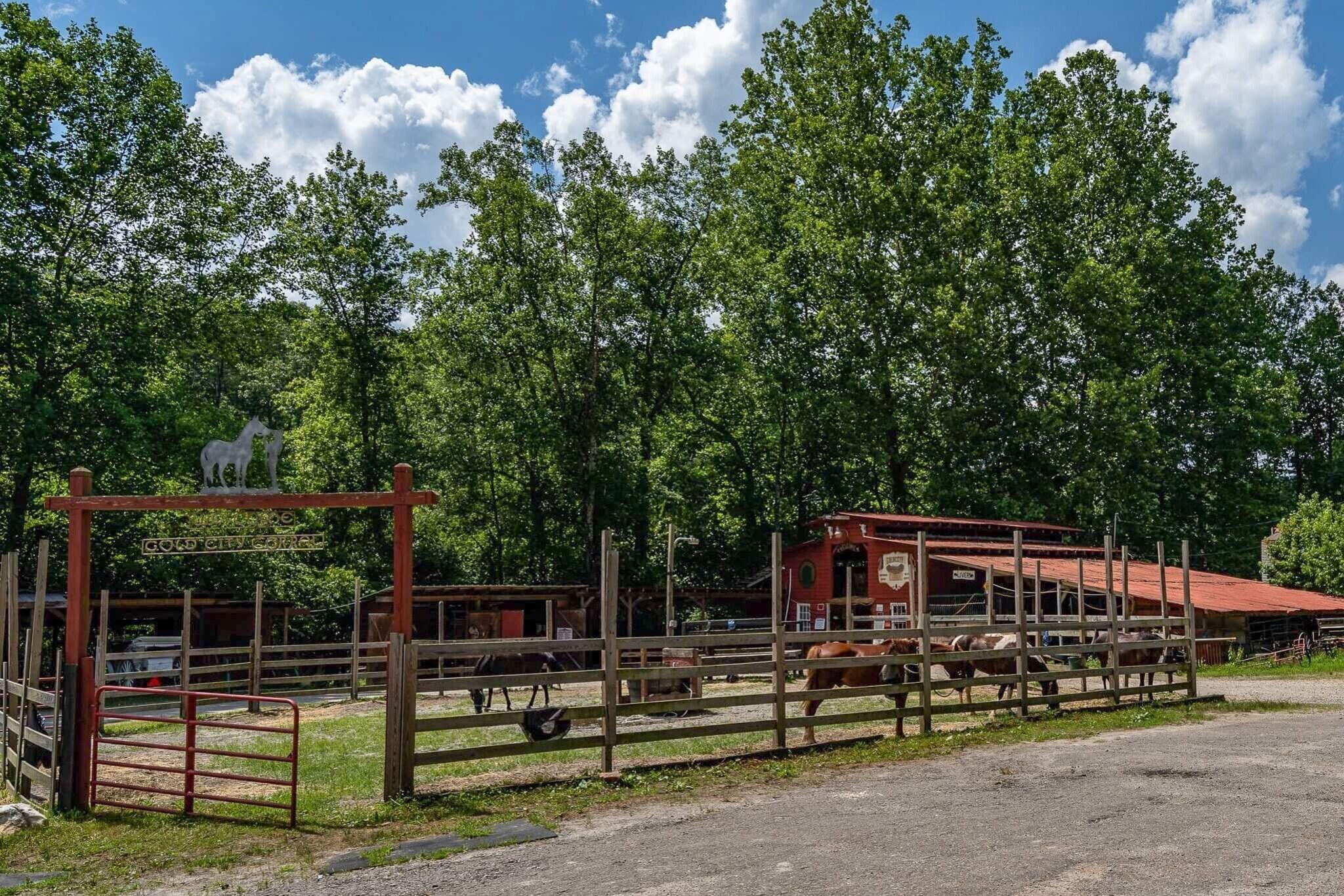 Forrest Hills Mountain Resort