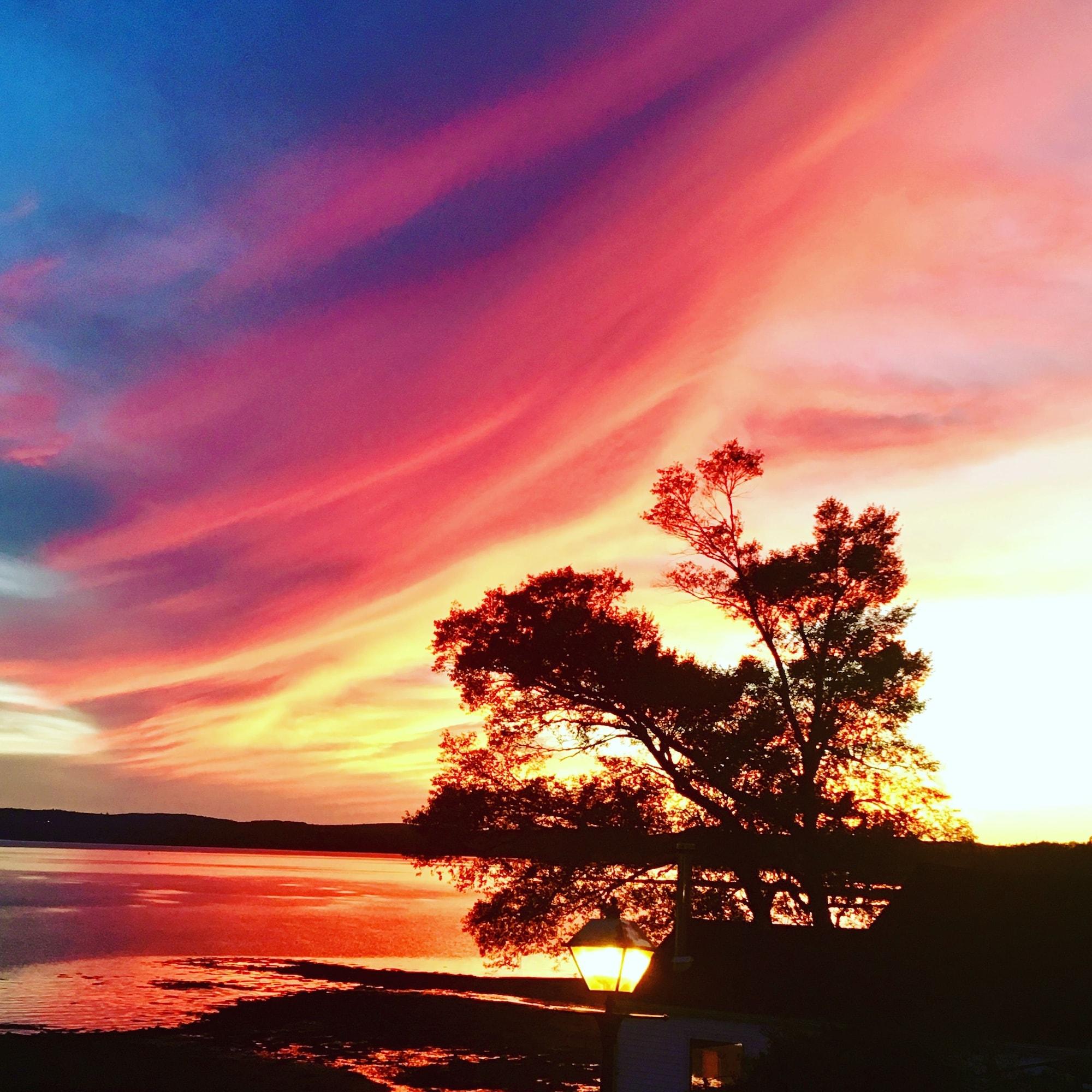 Treadwell Inn/ Chandler Room Wine Bar & Kitchen by null