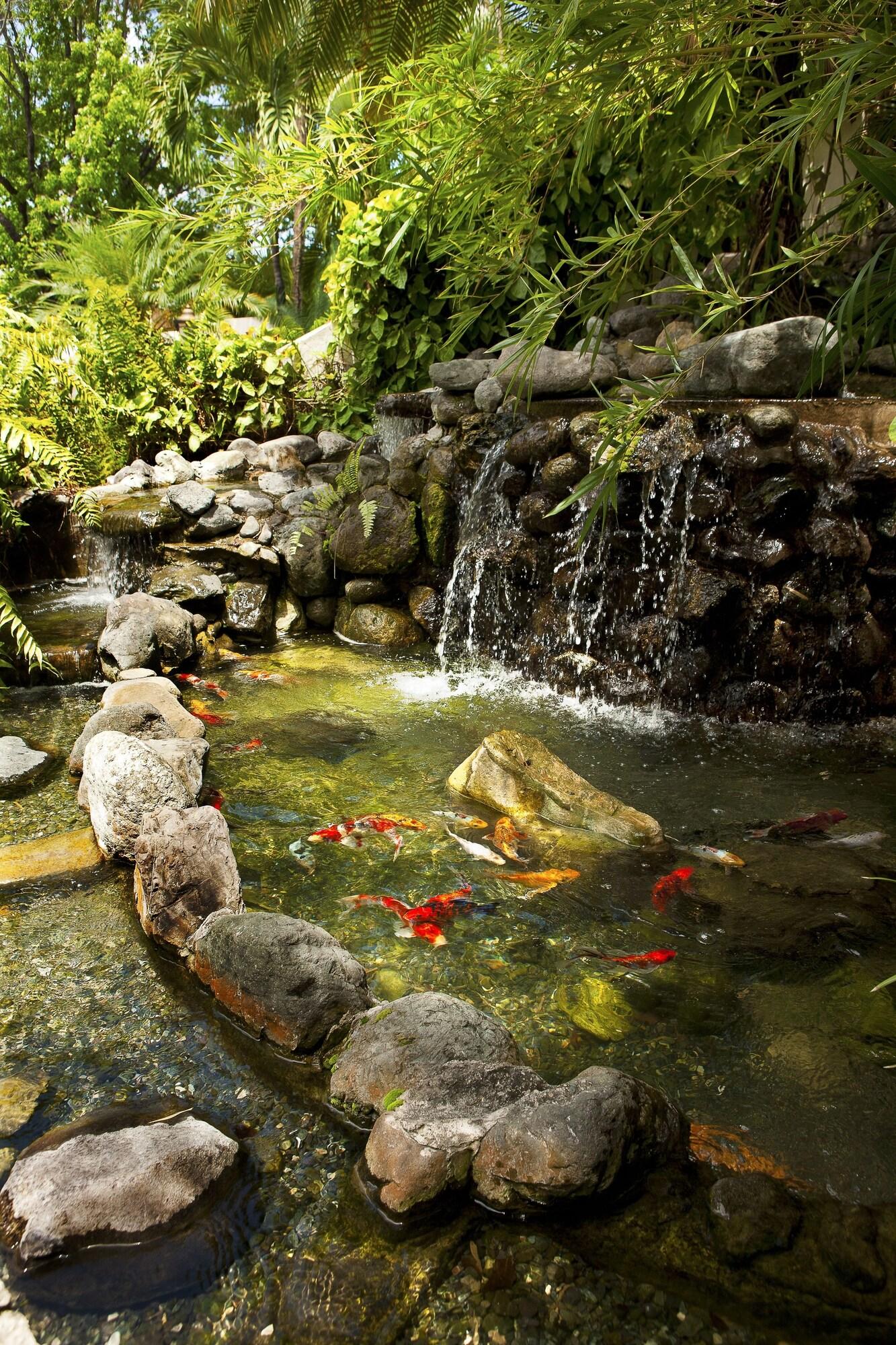 Terra Nova All Suite Hotel Jamaica by null