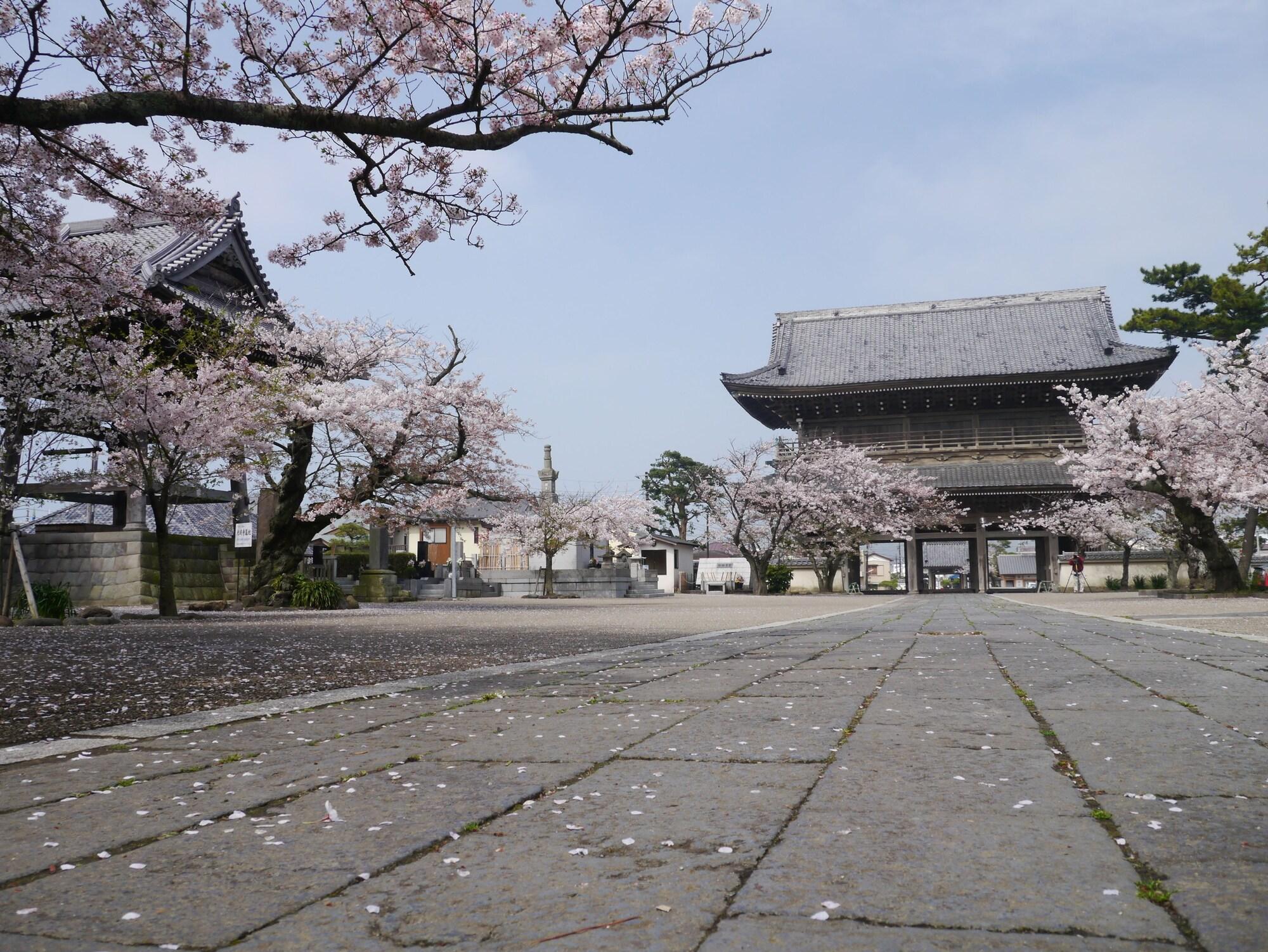 Guest House Kamejikan by null