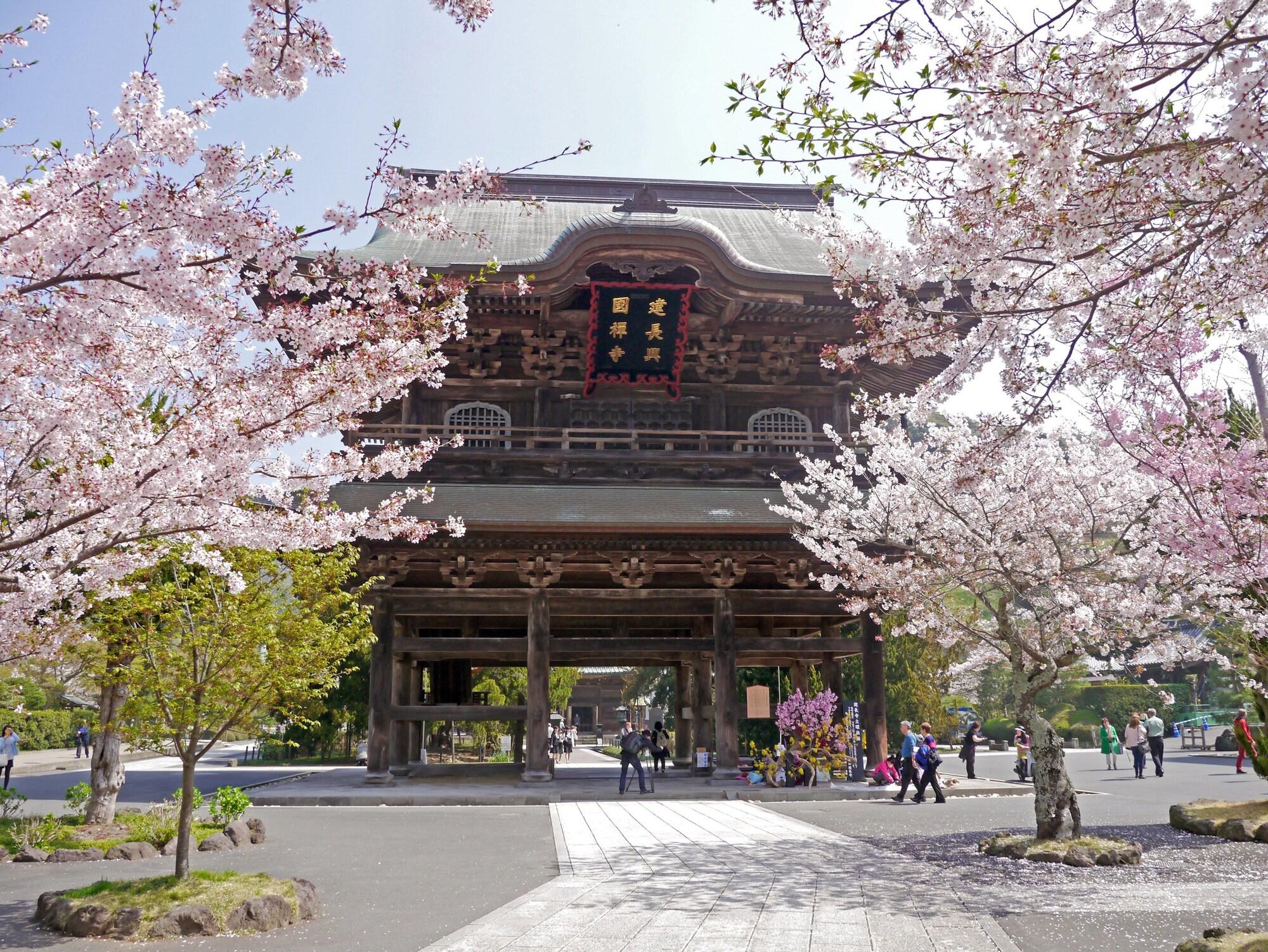 Guest House Kamejikan by null