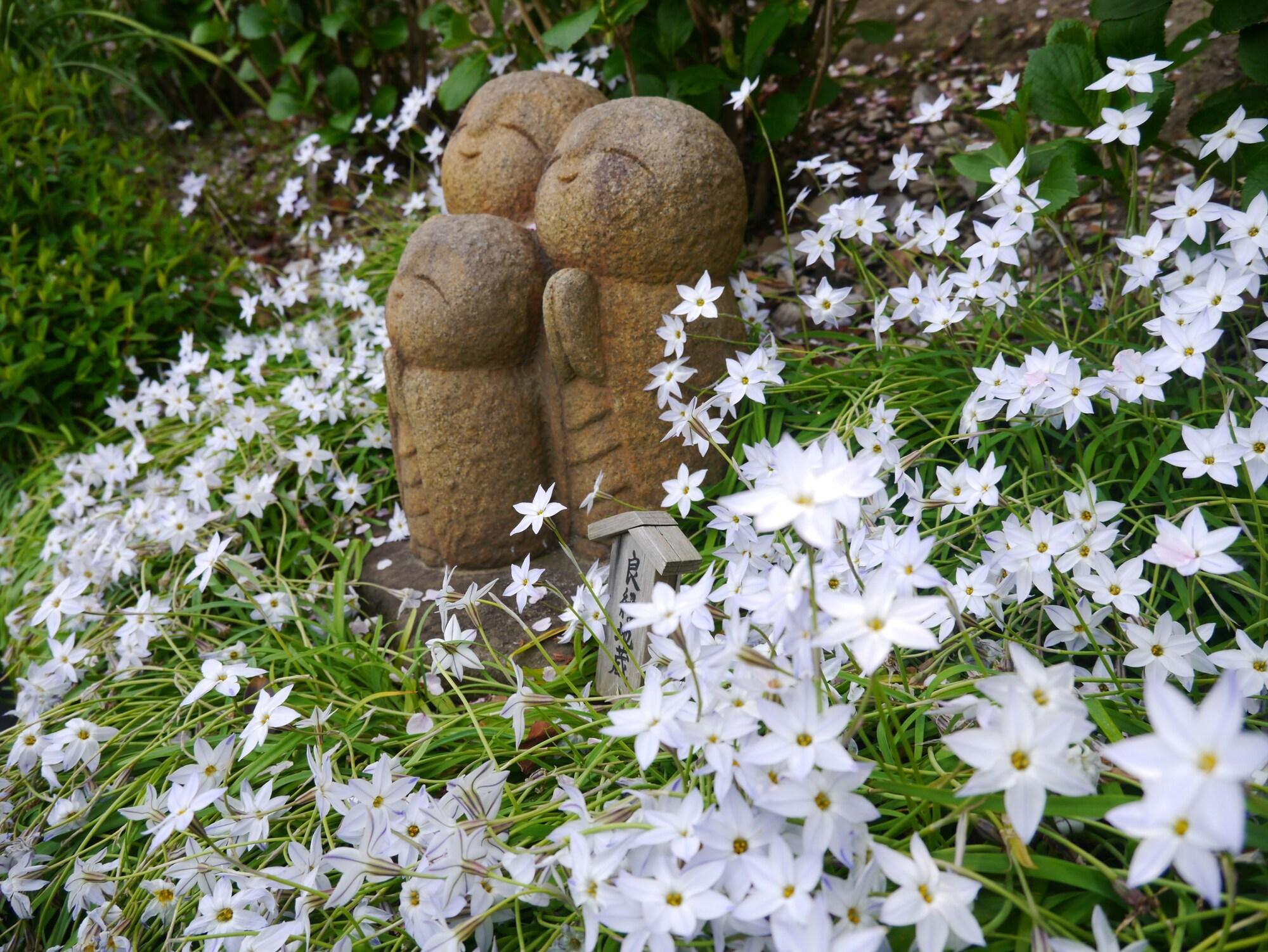 Guest House Kamejikan by null