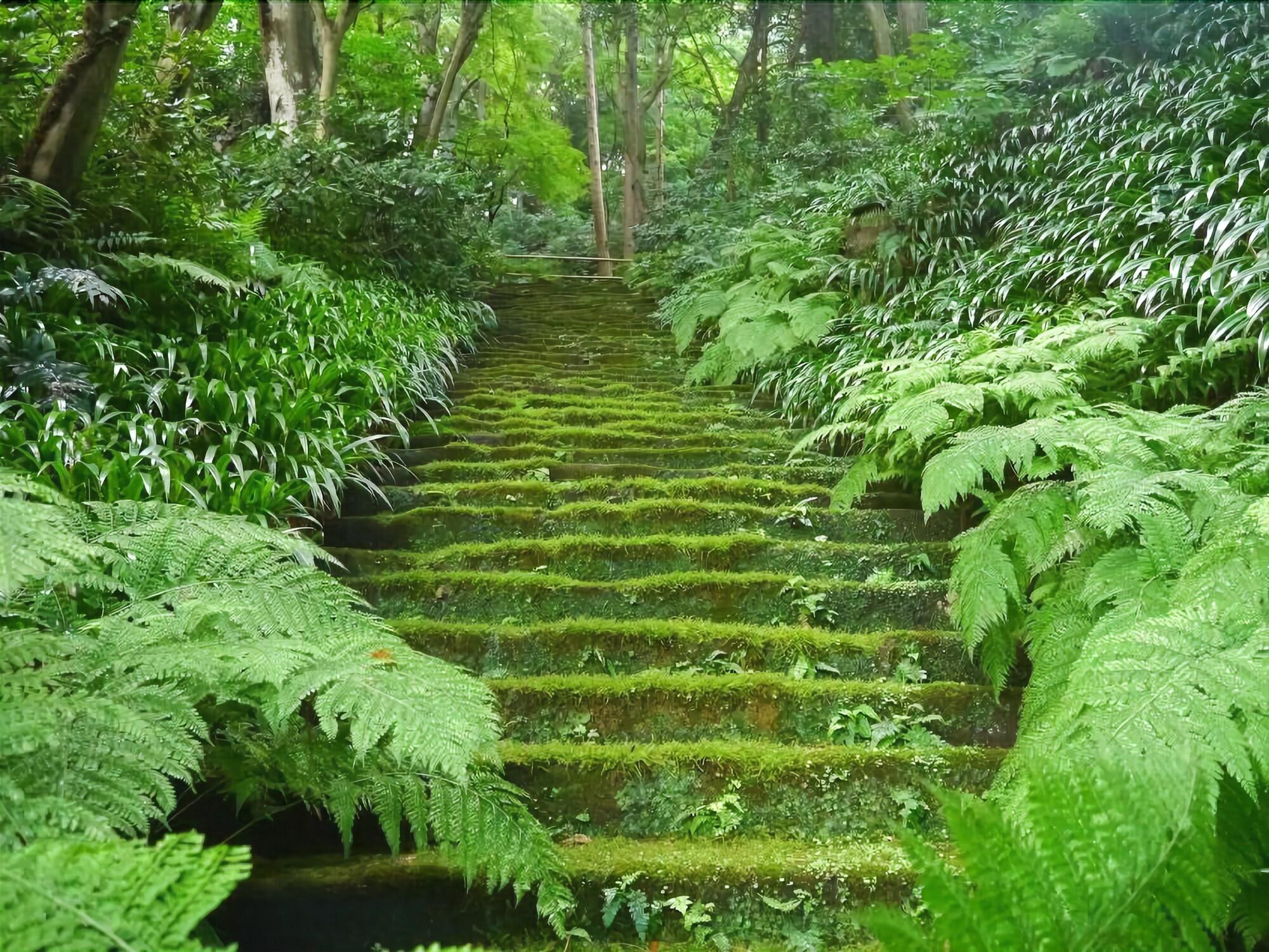 Guest House Kamejikan by null