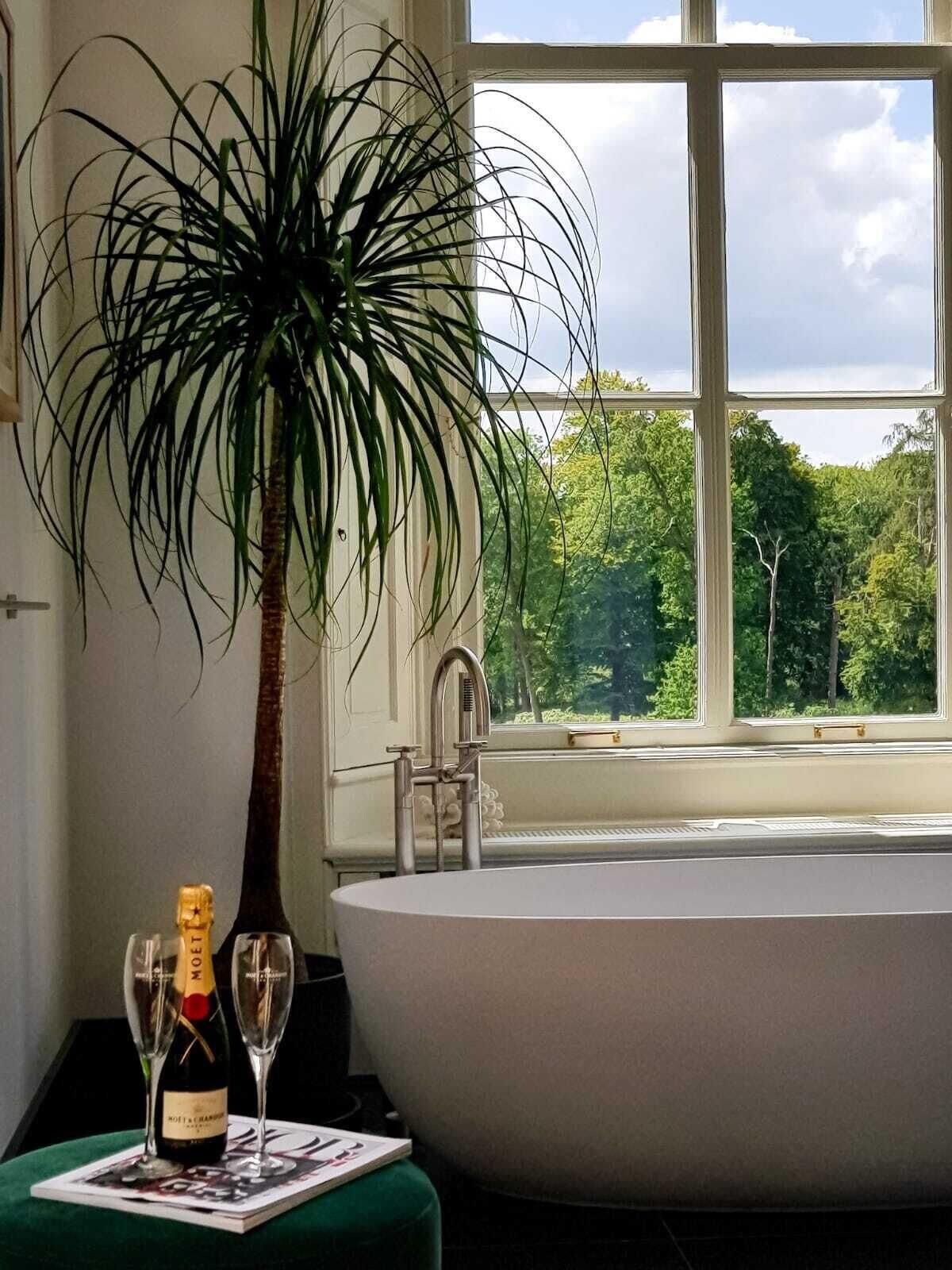 Parc Broekhuizen by null