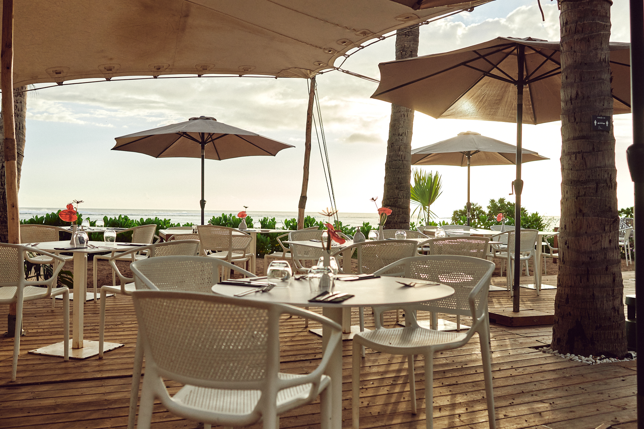 Ness By D-Ocean by null