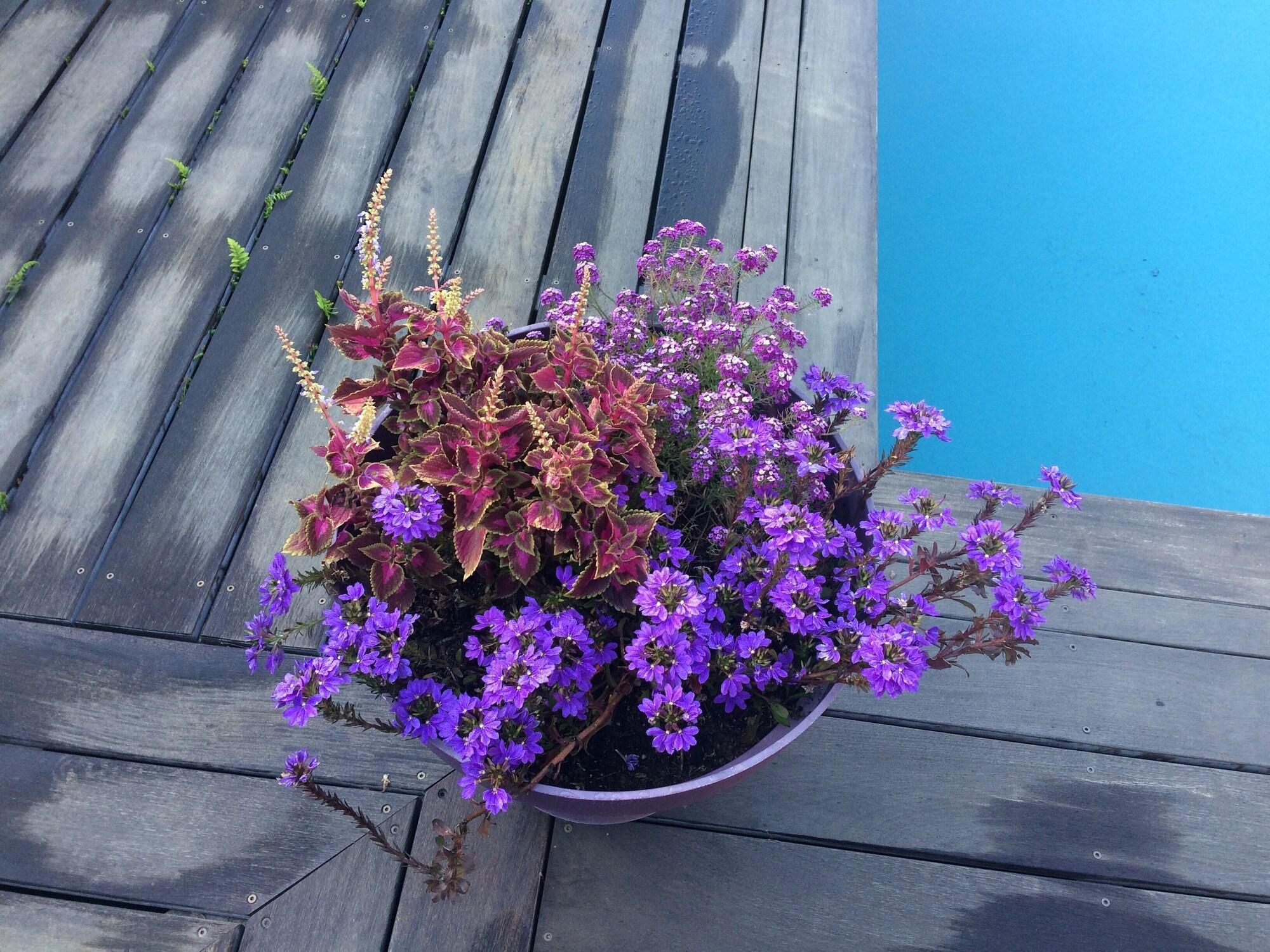 Hotel L'Oustalet by null