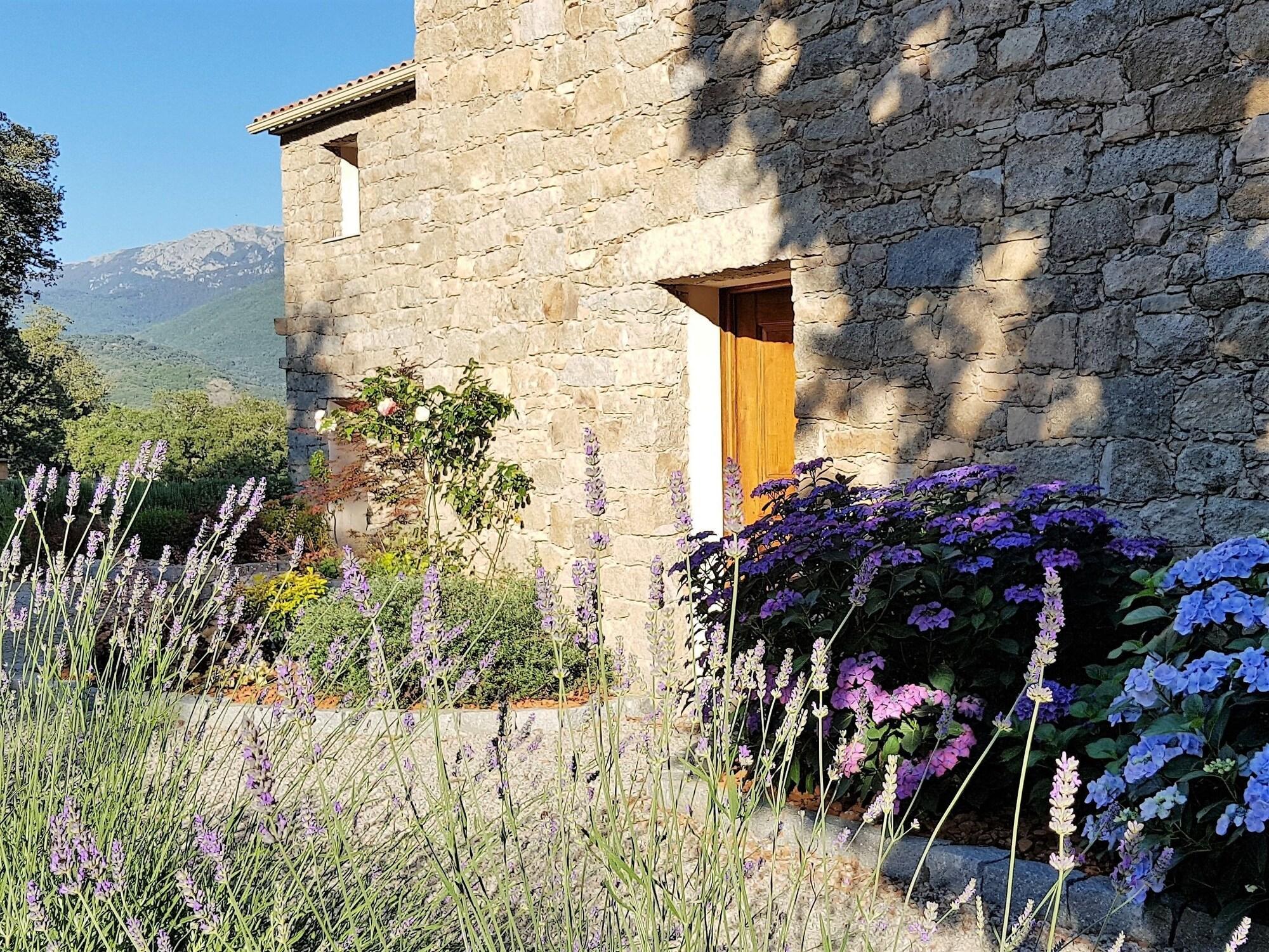 Maison D'Hôtes Zella