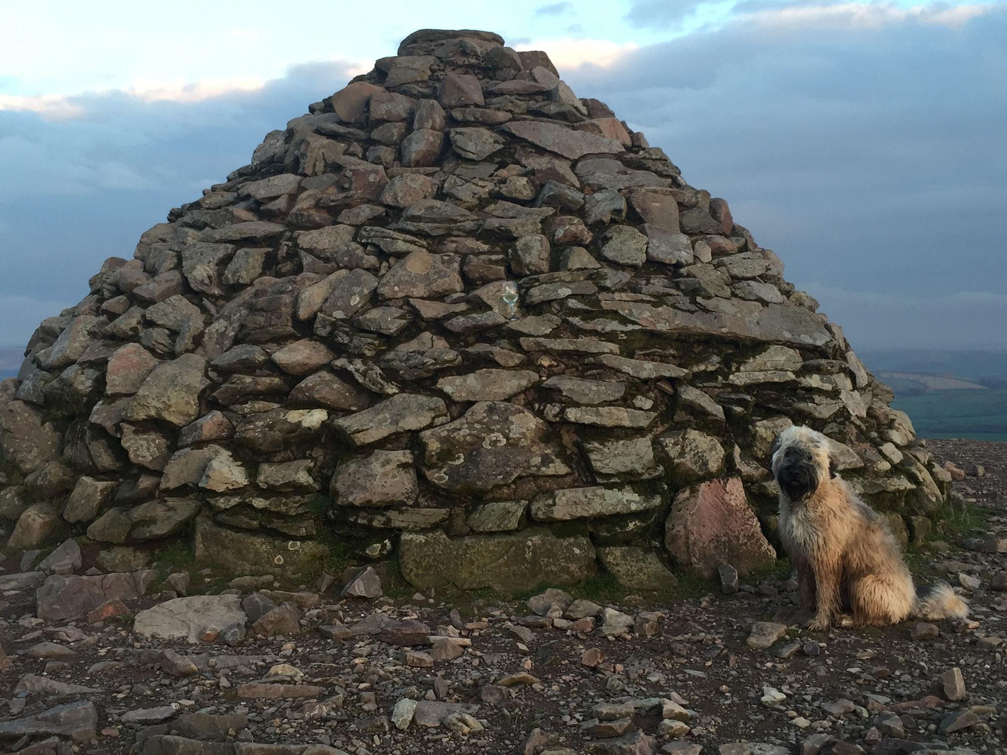 Exmoor House Bed & Breakfast by null