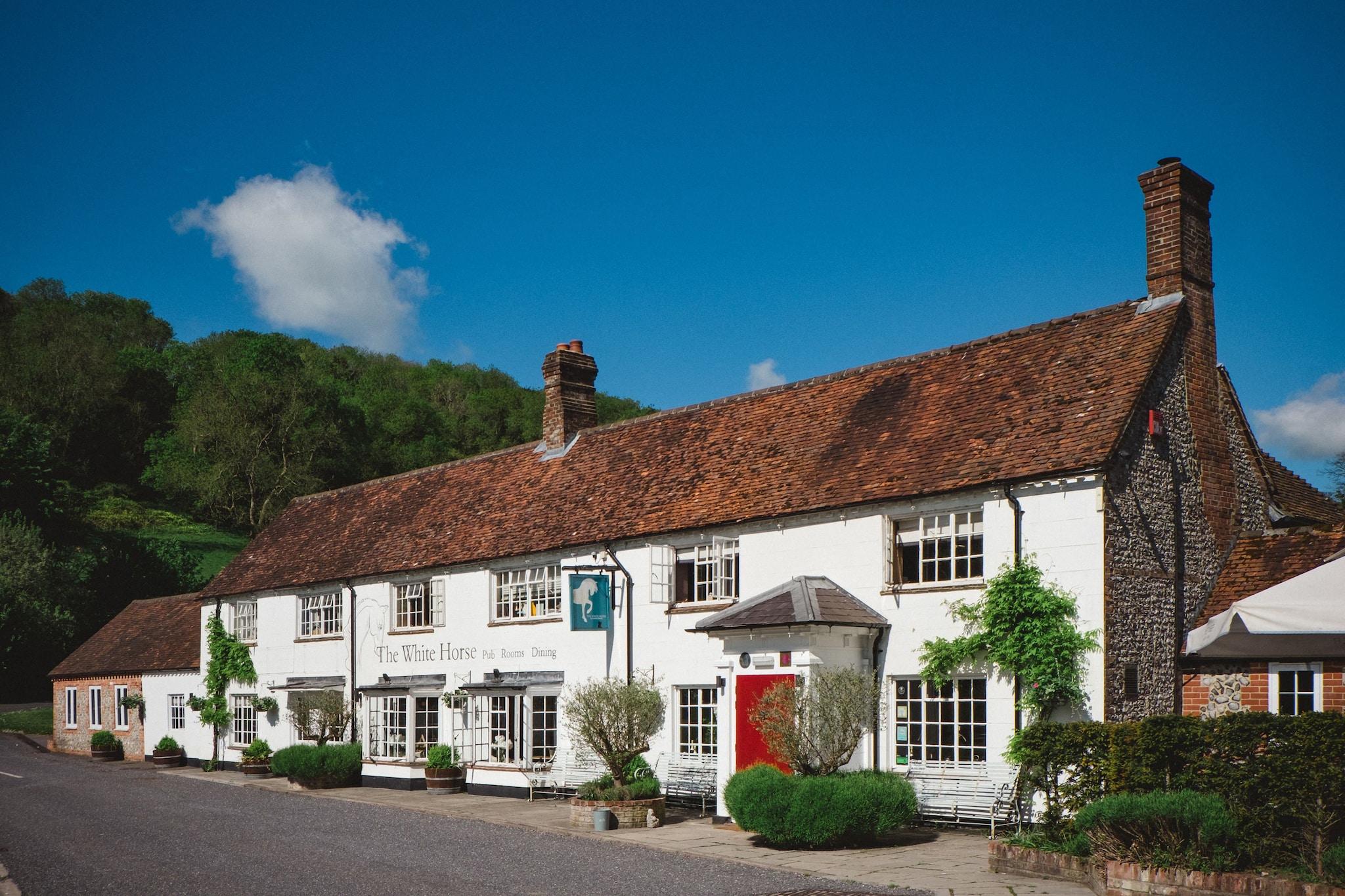 The White Horse by null