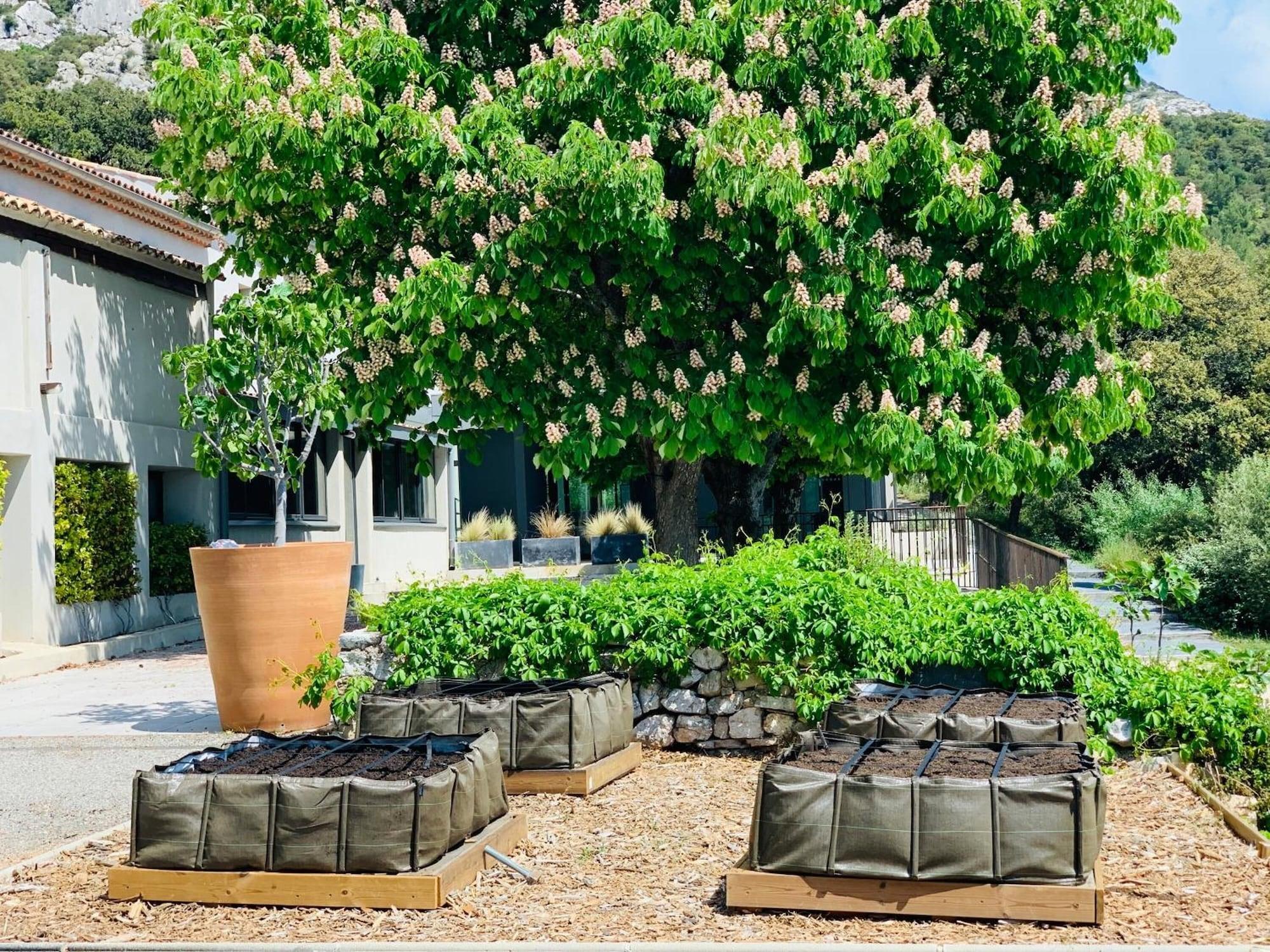 Le Relais de Saint Ser by null