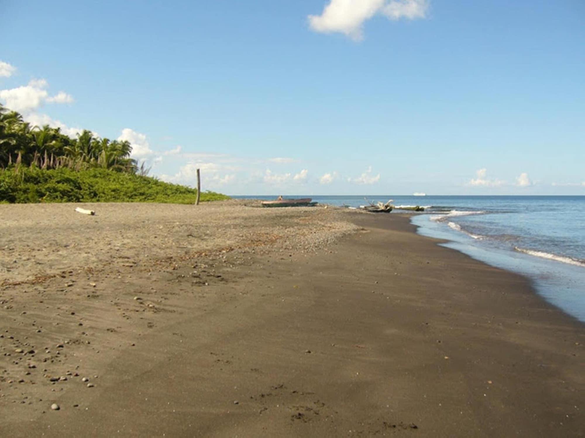 The Tamarind Tree Hotel & Restaurant by null