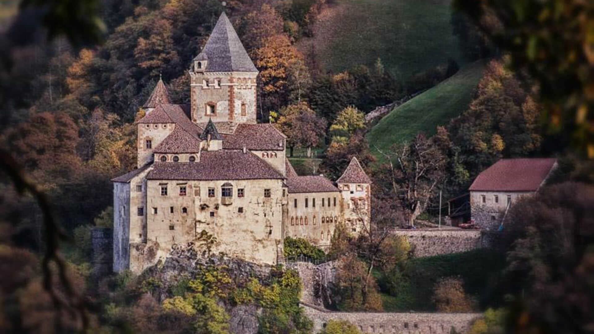 Ansitz Steinbock by null