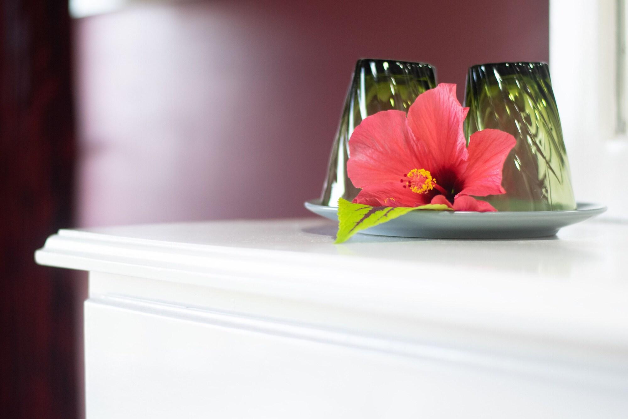 Mandeview Hotel by null