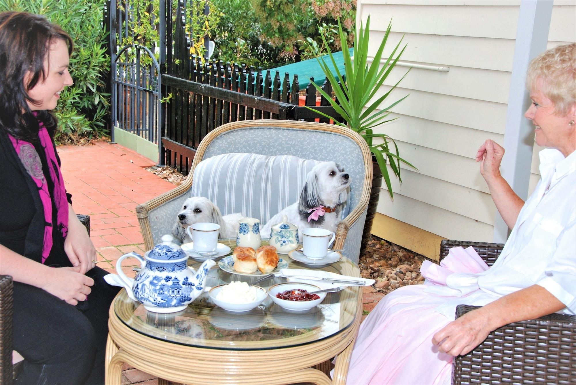 Must Love Dogs B&b