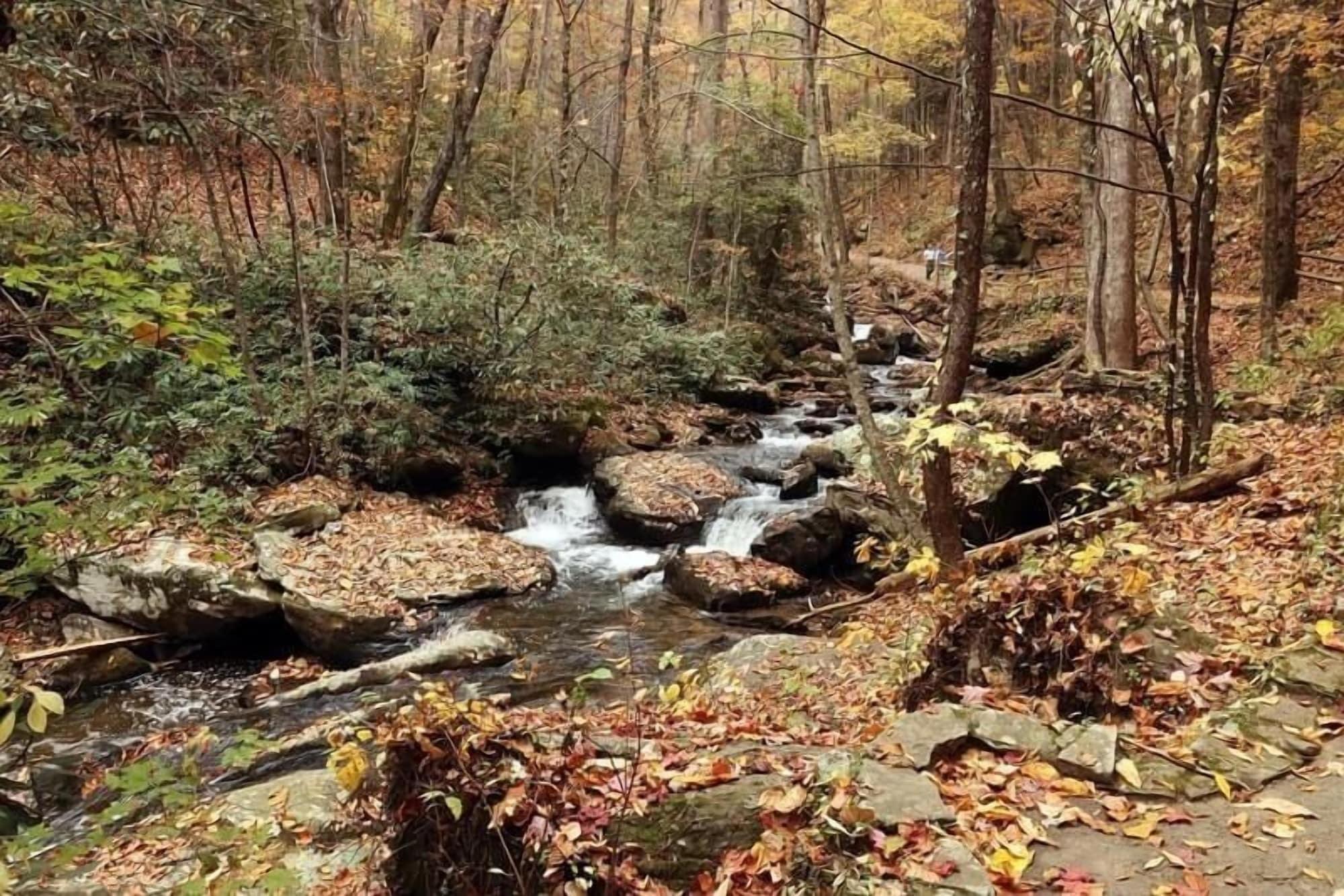 Nacoochee Valley Rentals