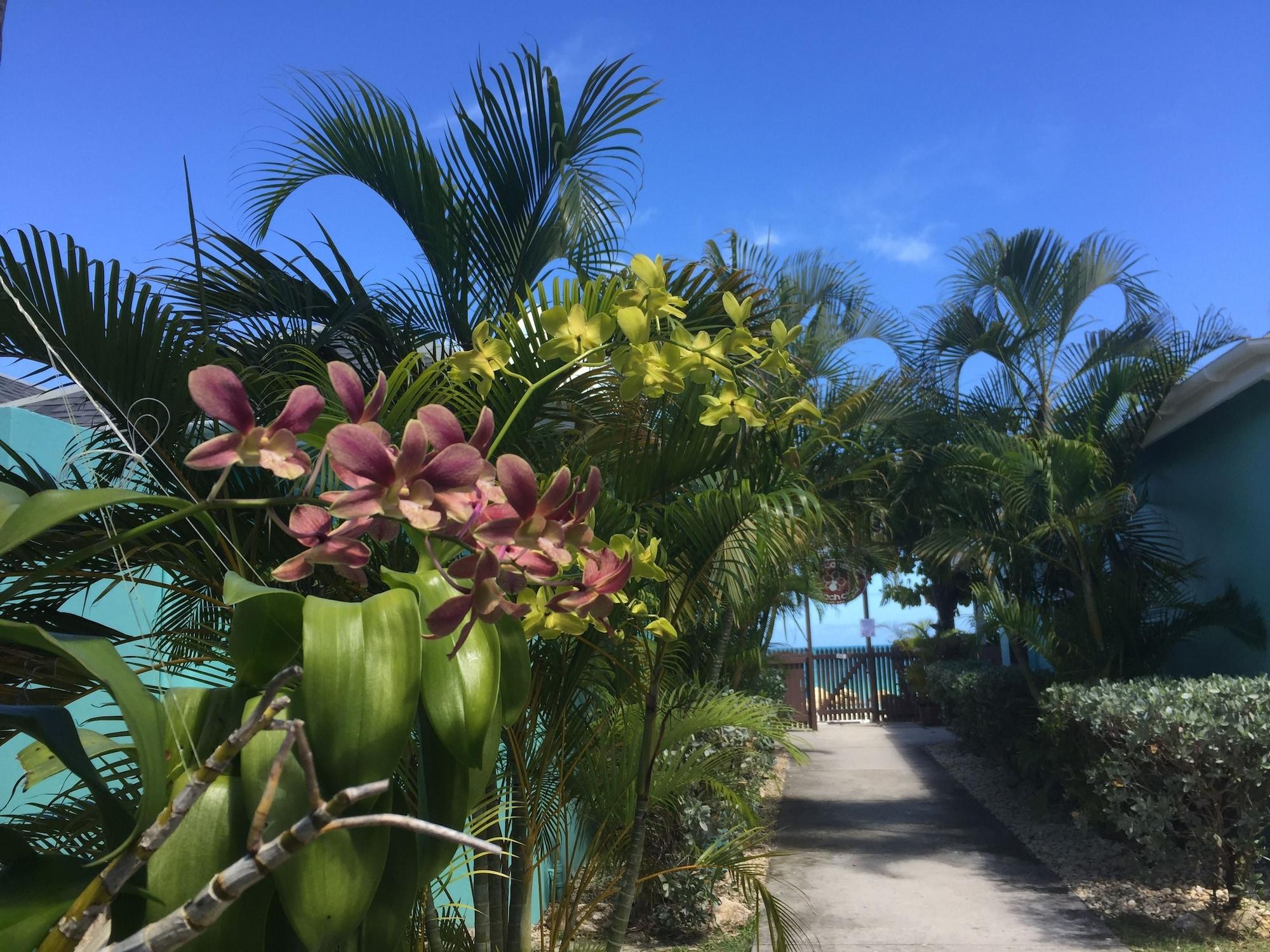 Buccaneer Beach Club Antigua by null