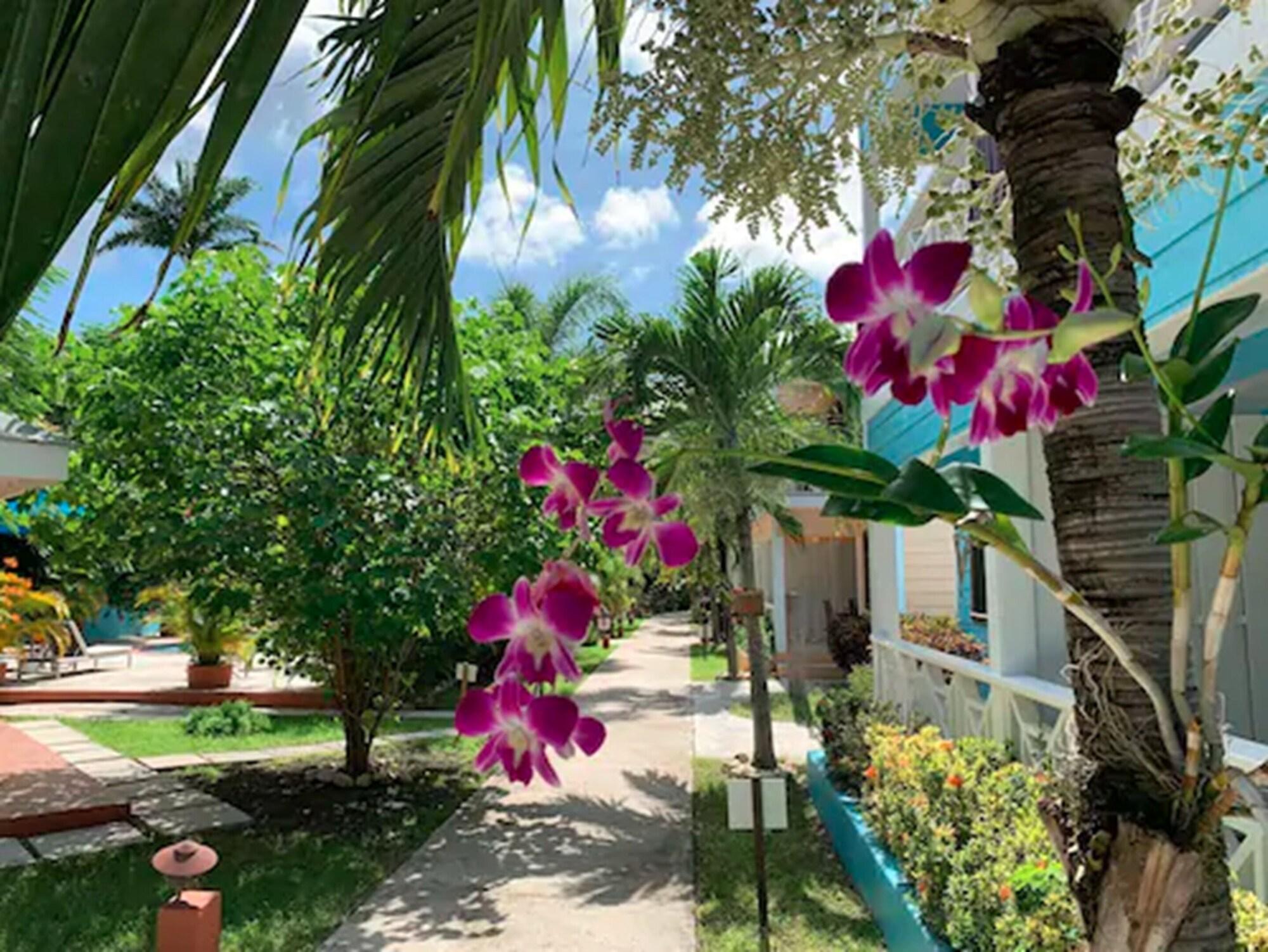 Buccaneer Beach Club Antigua by null