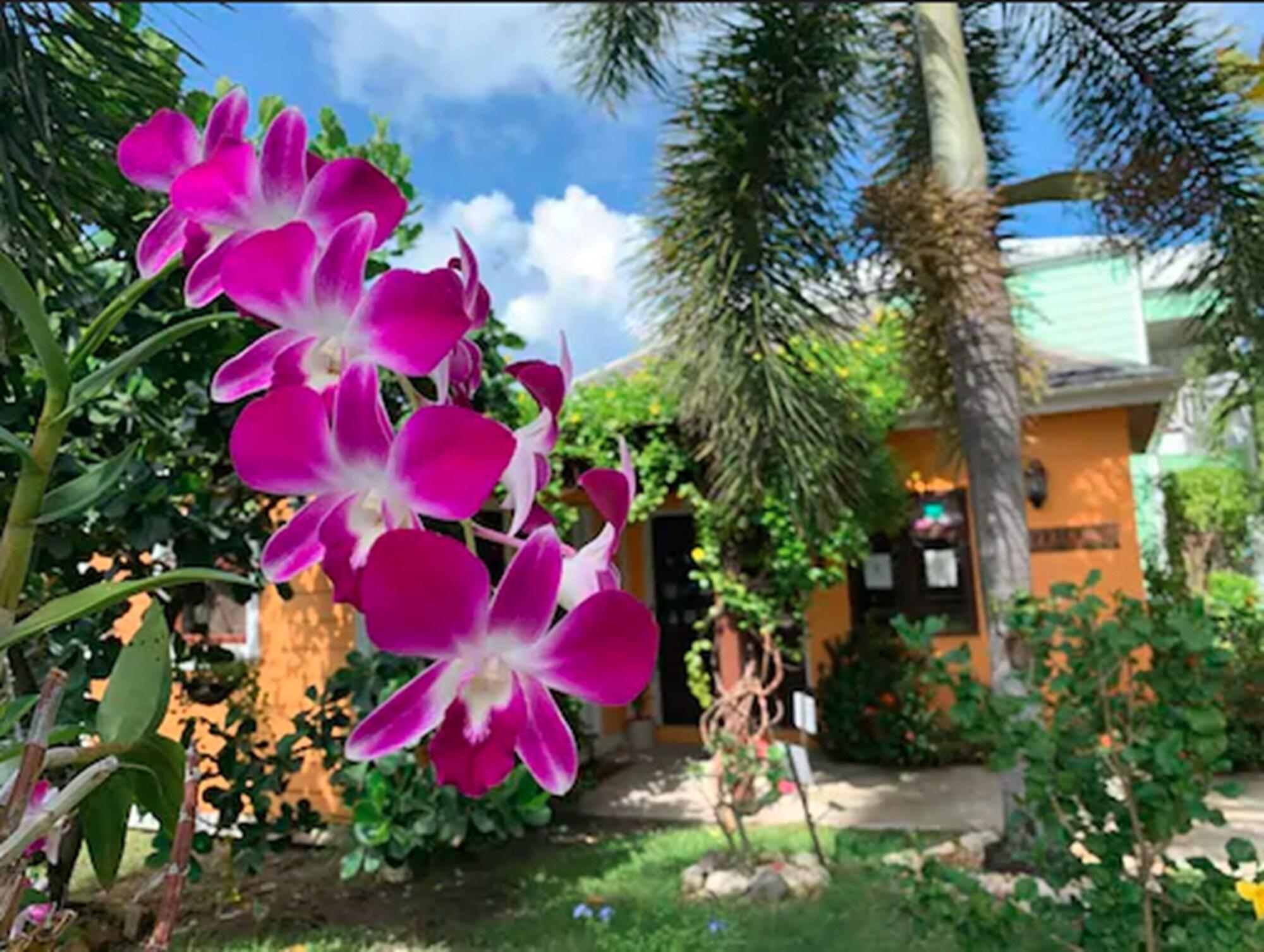 Buccaneer Beach Club Antigua by null
